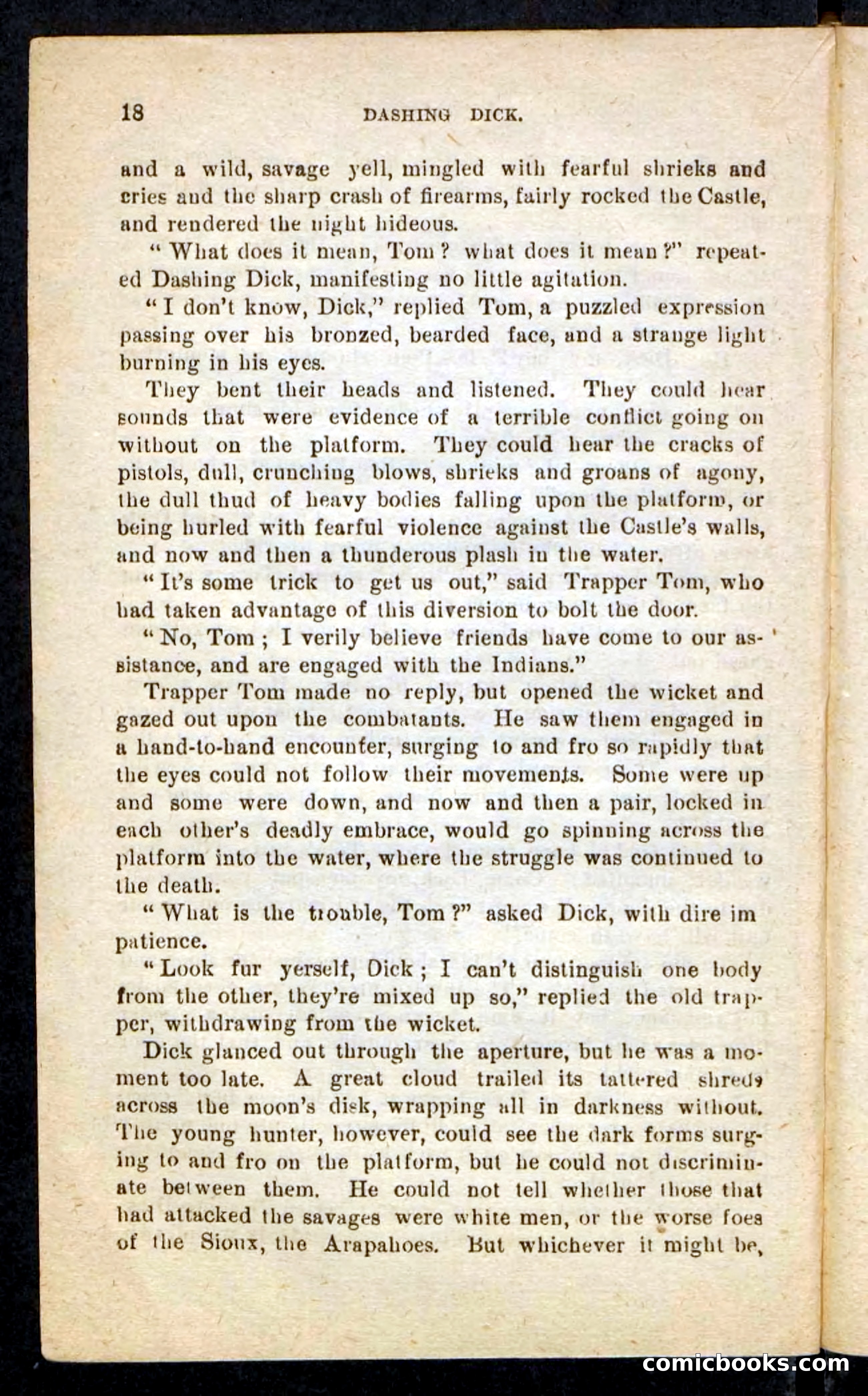 Beadle's Pocket Novels No. 244: Dashing Dick — page 14 of 100