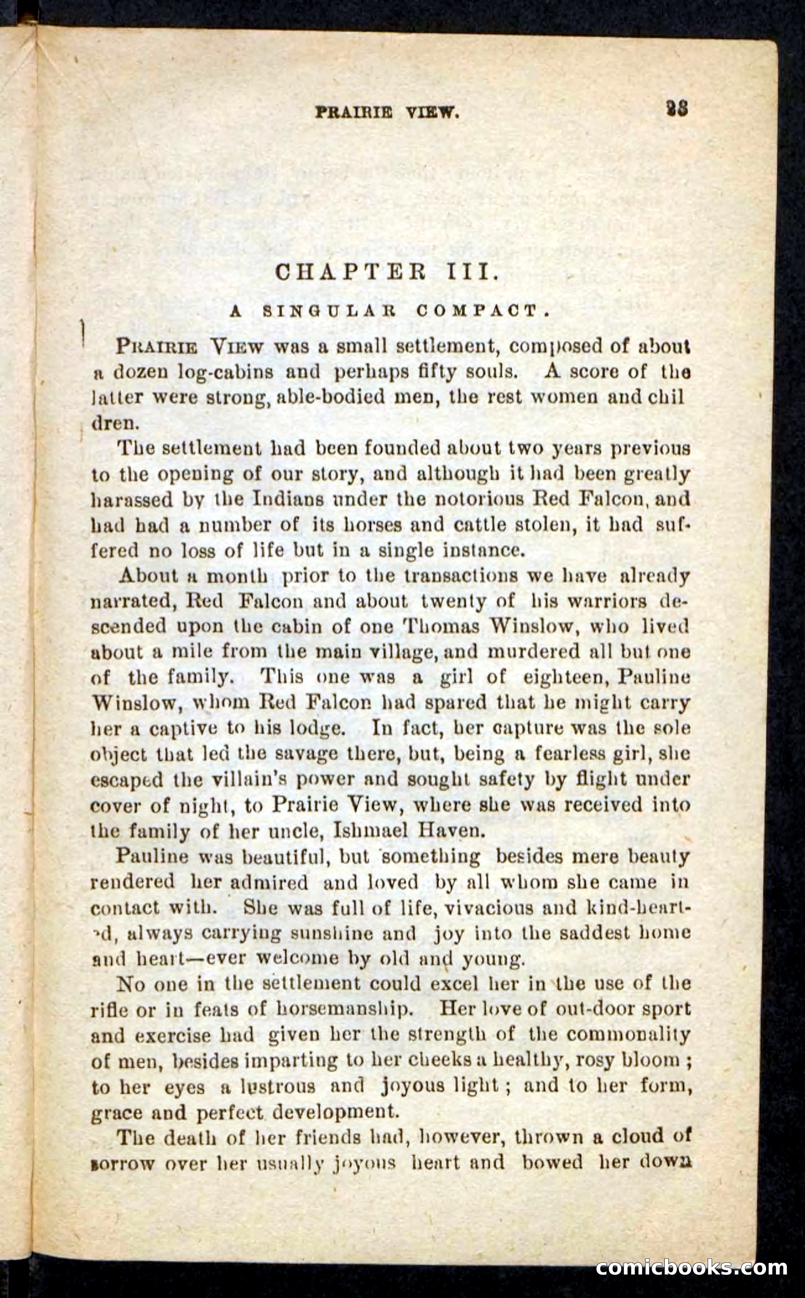 Beadle's Pocket Novels No. 244: Dashing Dick — page 19 of 100