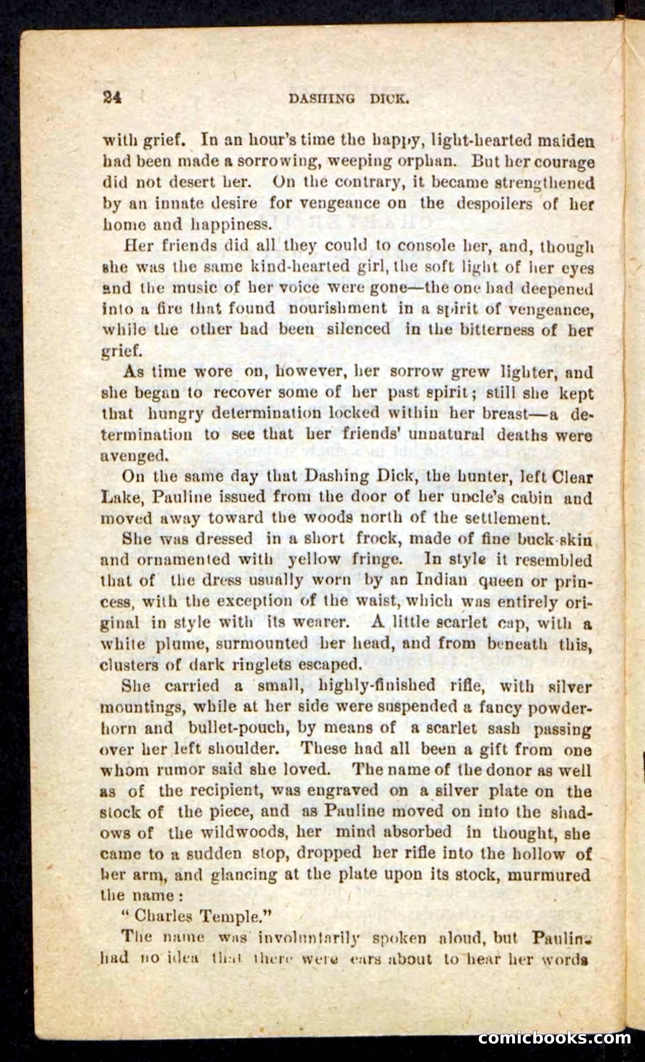 Beadle's Pocket Novels No. 244: Dashing Dick — page 20 of 100