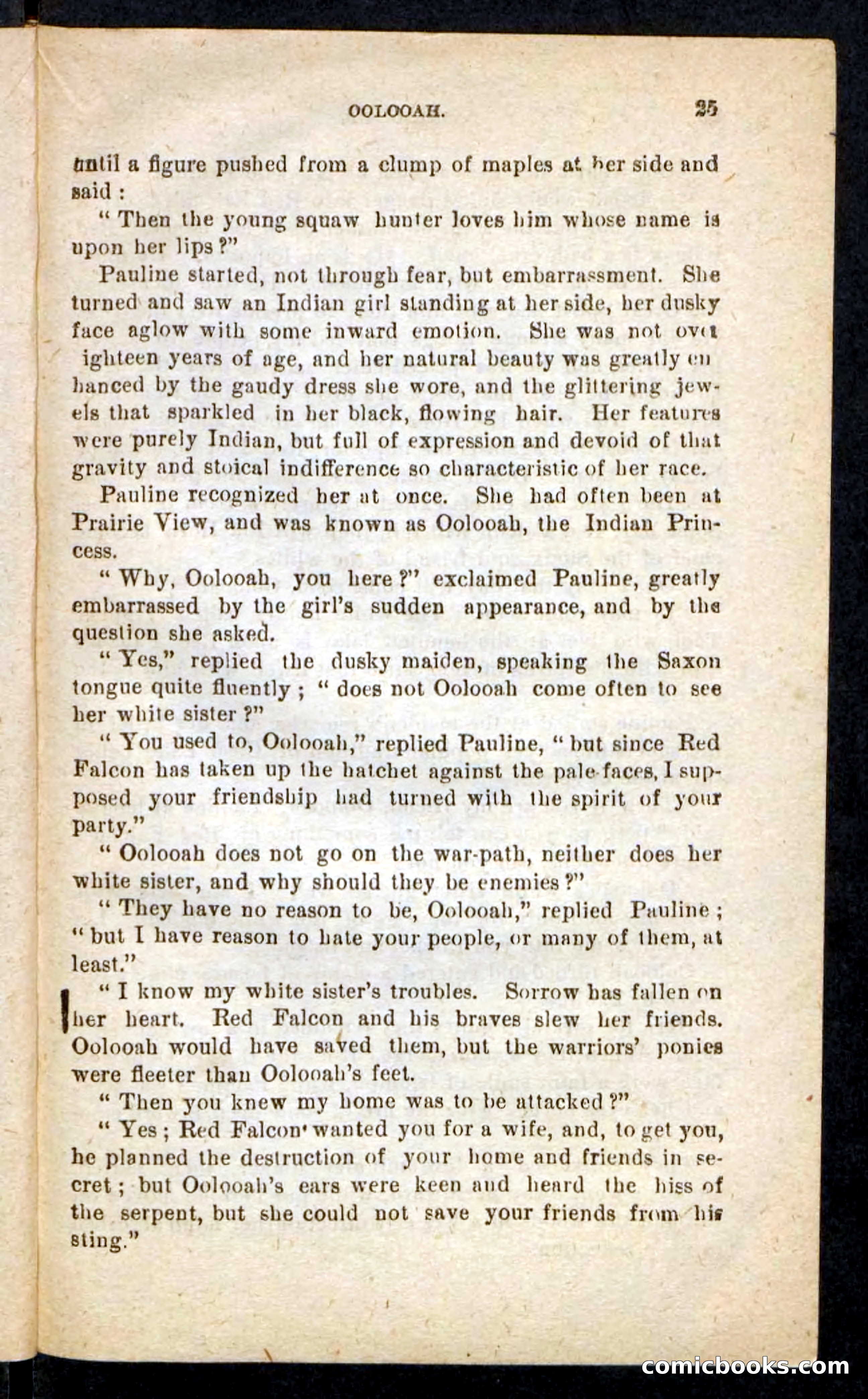 Beadle's Pocket Novels No. 244: Dashing Dick — page 21 of 100