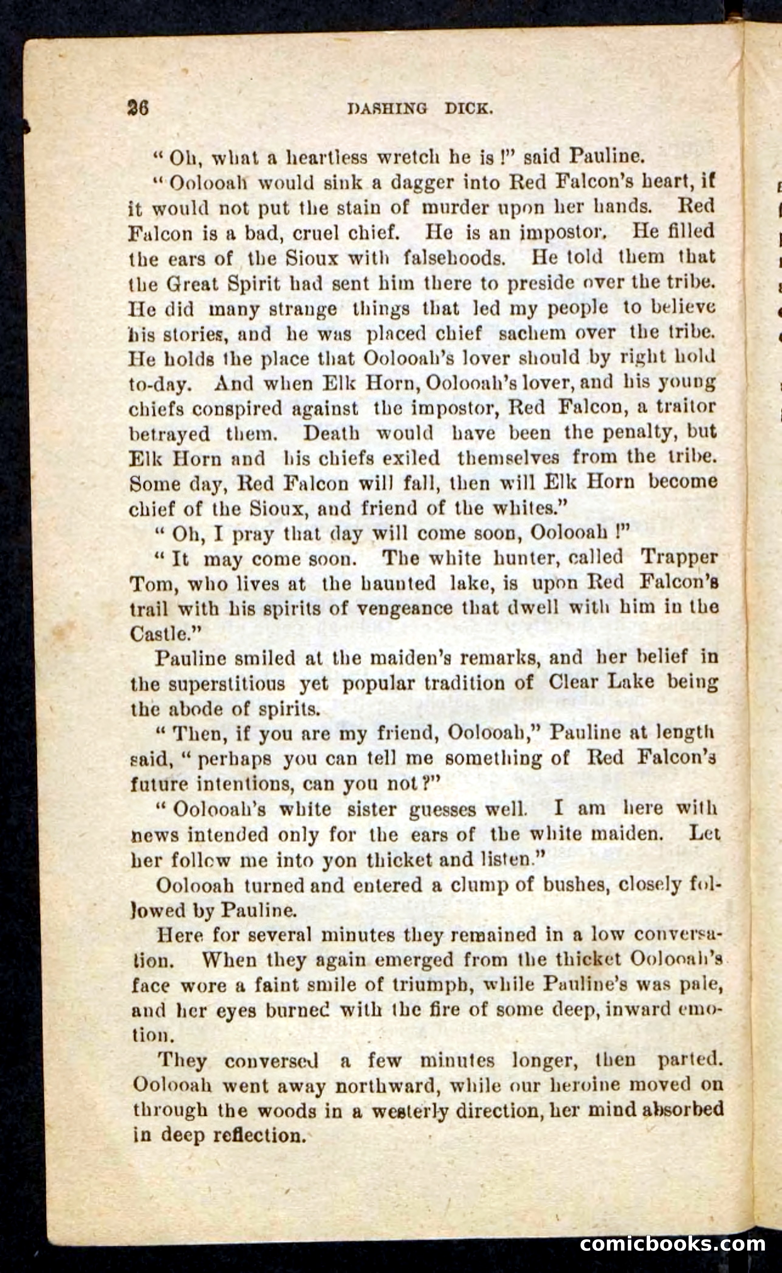 Beadle's Pocket Novels No. 244: Dashing Dick — page 22 of 100