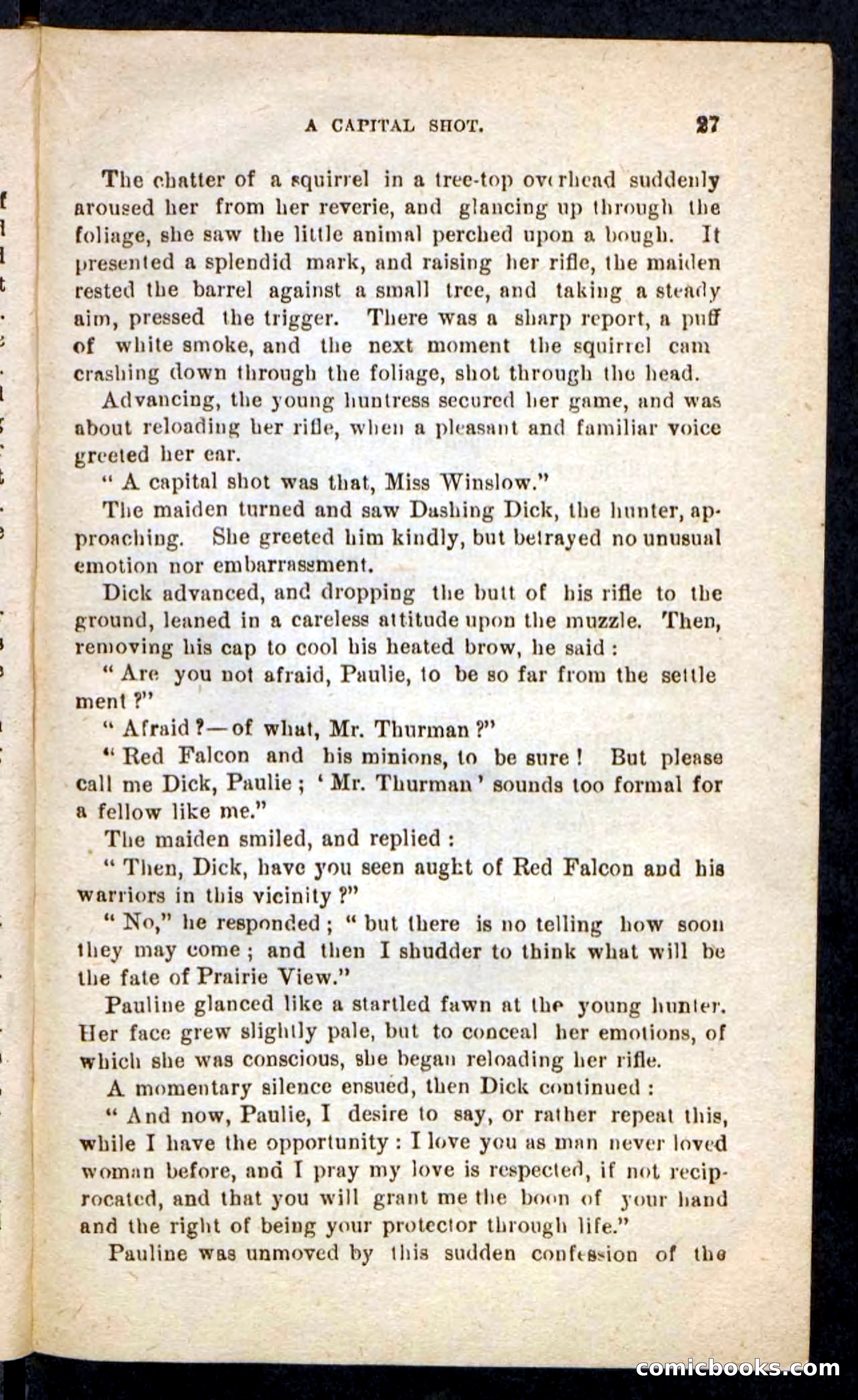 Beadle's Pocket Novels No. 244: Dashing Dick — page 23 of 100