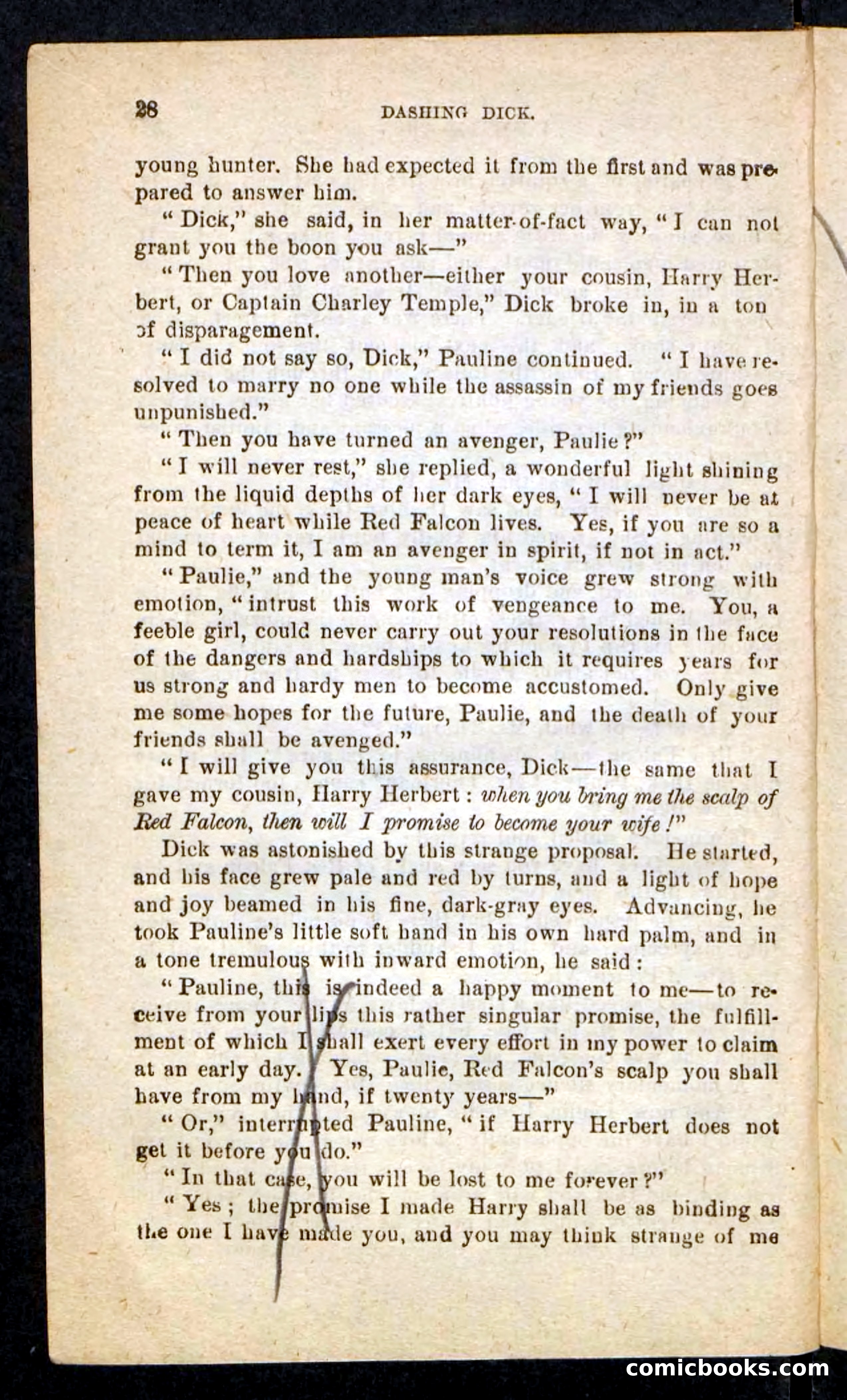 Beadle's Pocket Novels No. 244: Dashing Dick — page 24 of 100