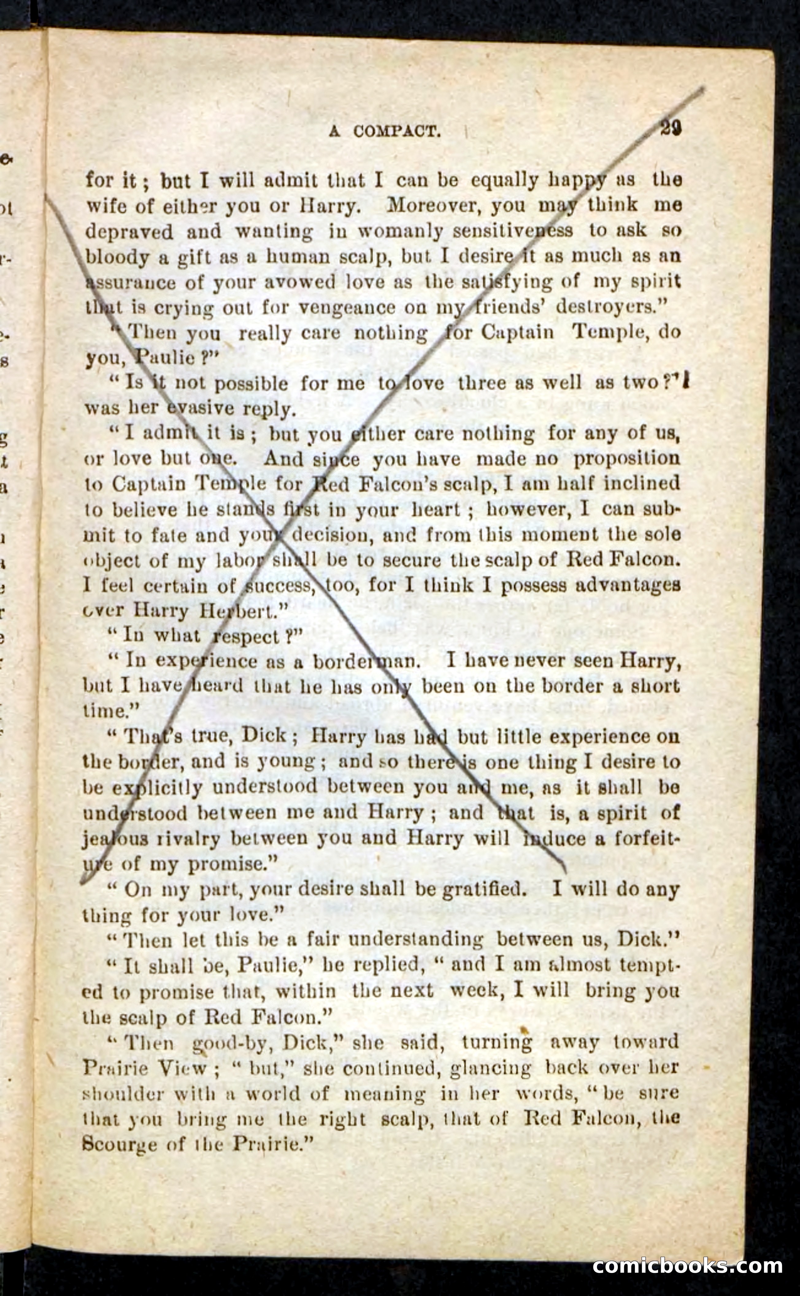 Beadle's Pocket Novels No. 244: Dashing Dick — page 25 of 100