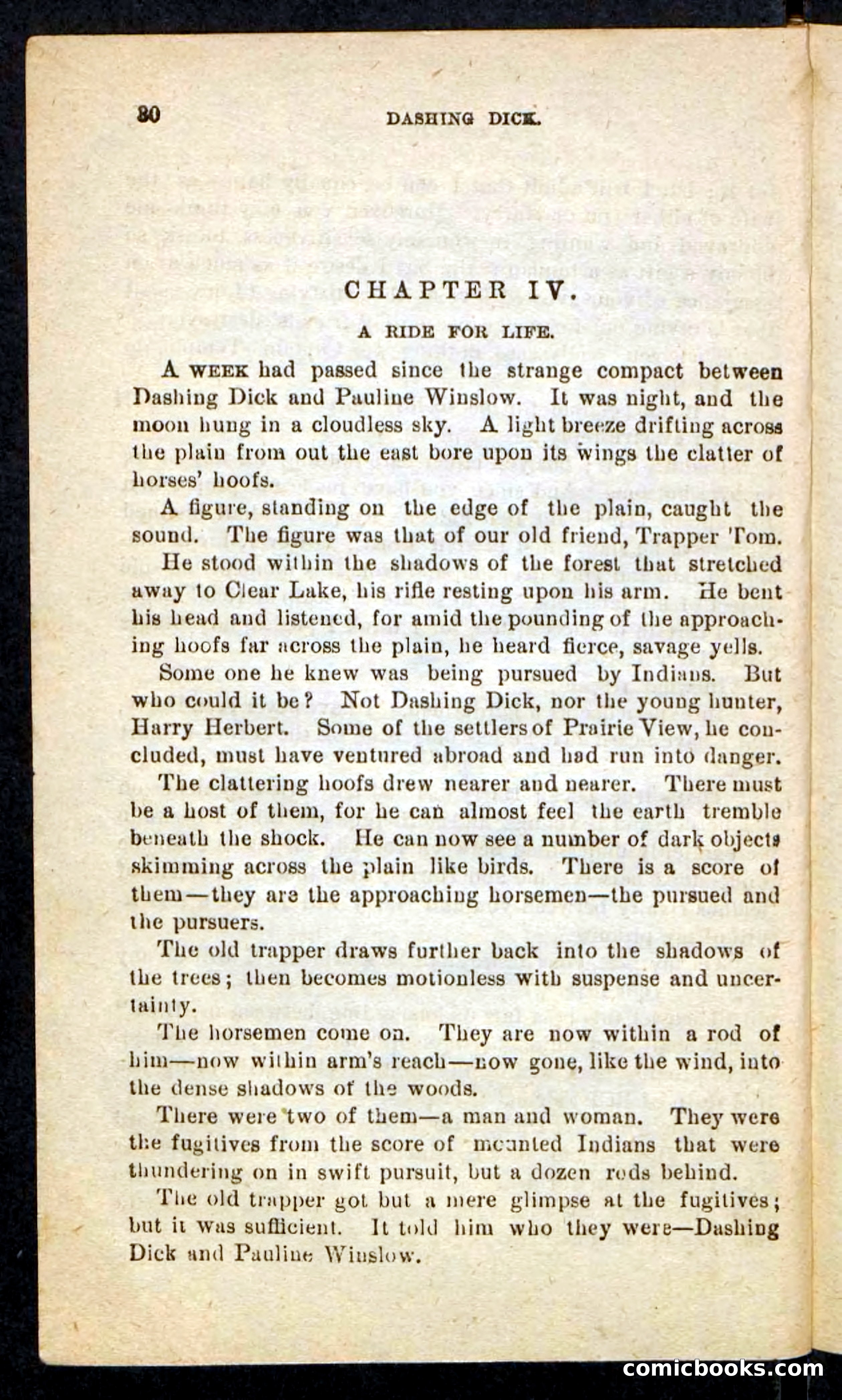 Beadle's Pocket Novels No. 244: Dashing Dick — page 26 of 100