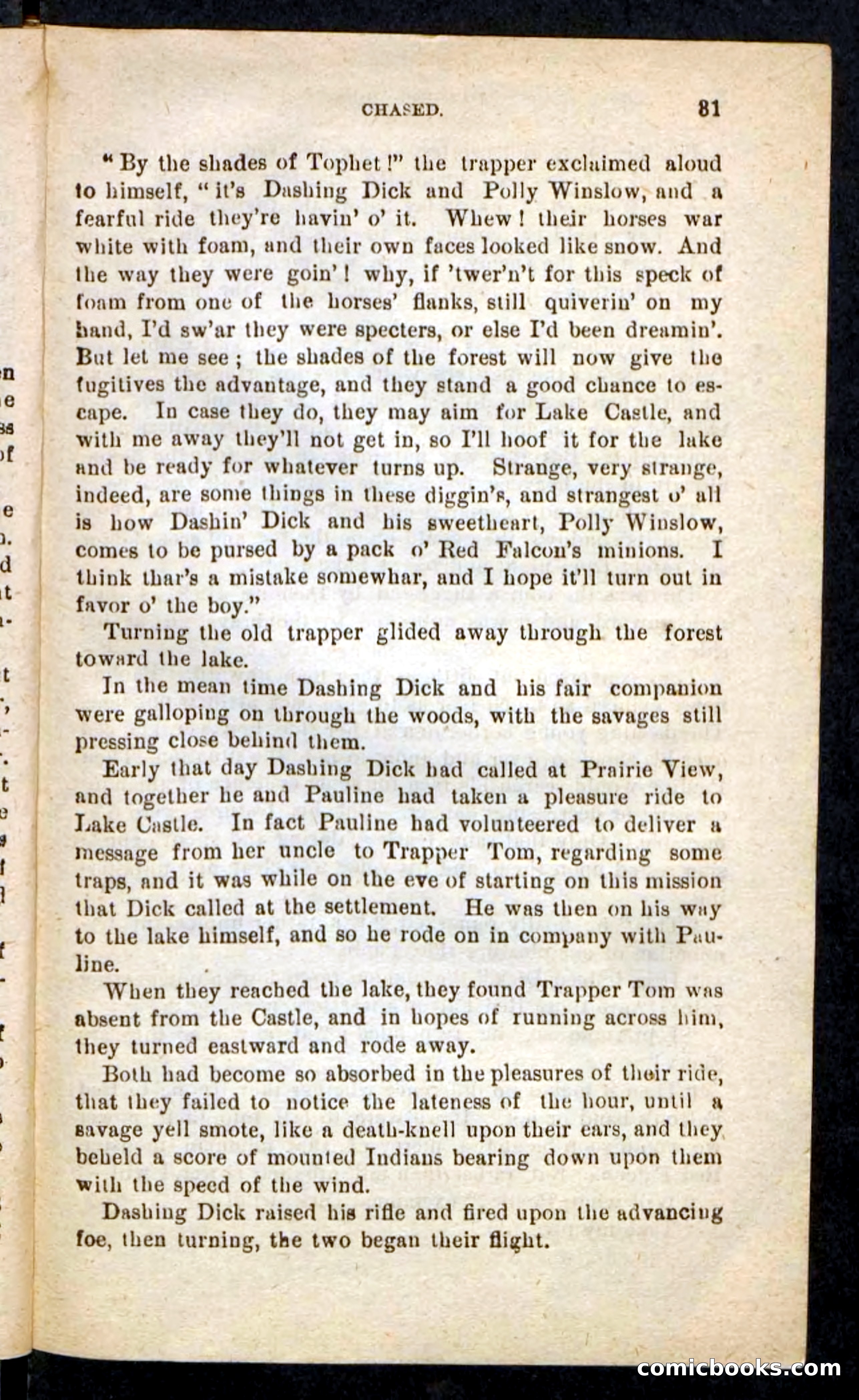 Beadle's Pocket Novels No. 244: Dashing Dick — page 27 of 100