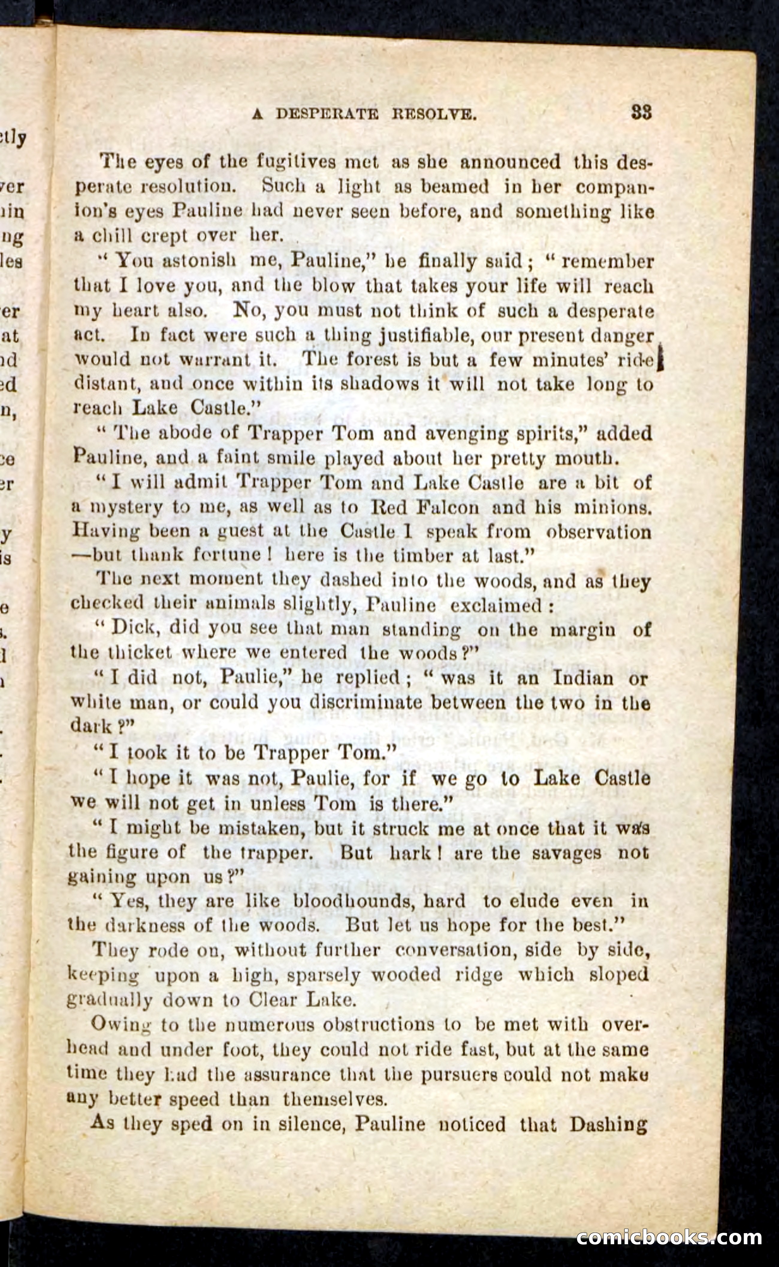 Beadle's Pocket Novels No. 244: Dashing Dick — page 29 of 100
