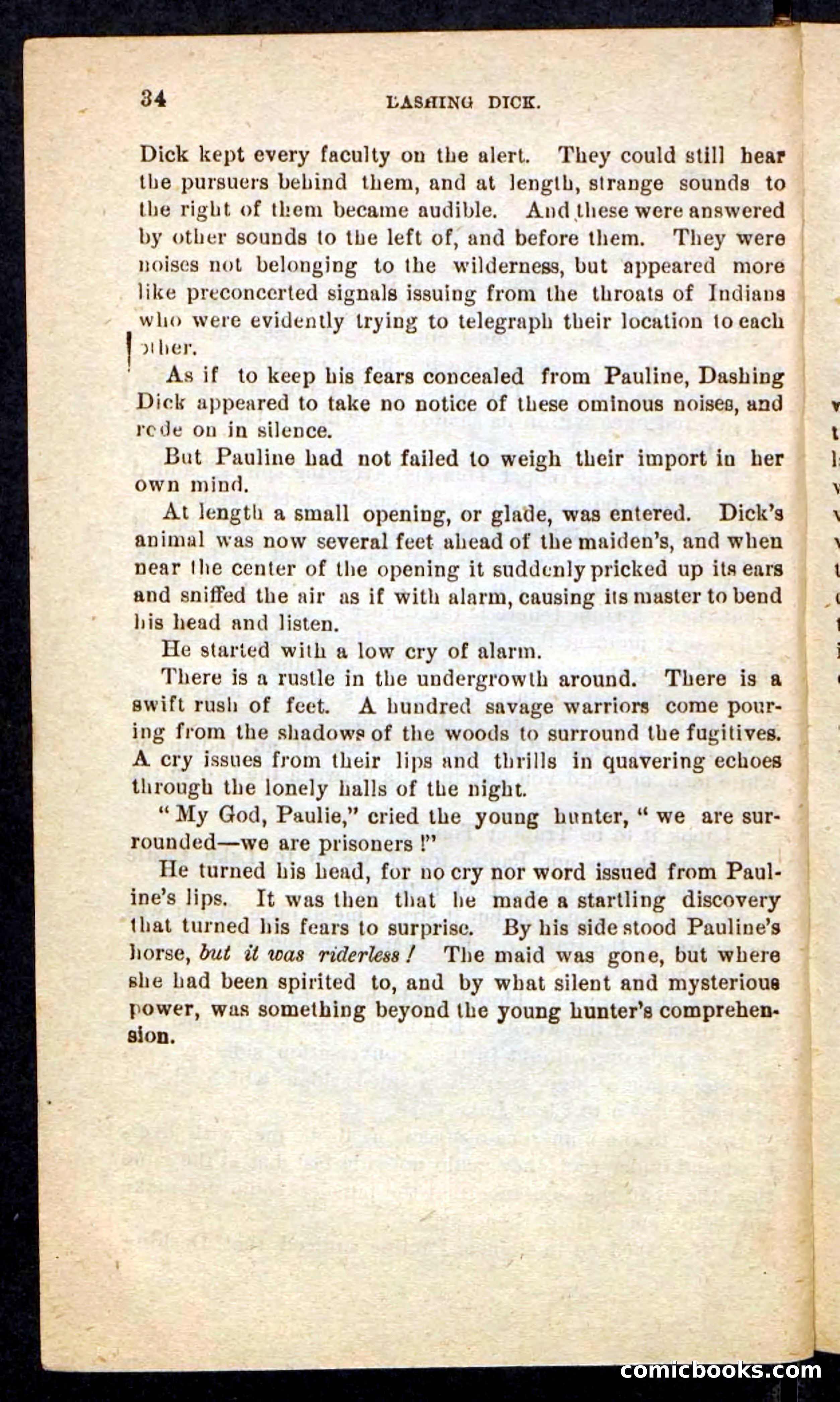 Beadle's Pocket Novels No. 244: Dashing Dick — page 30 of 100