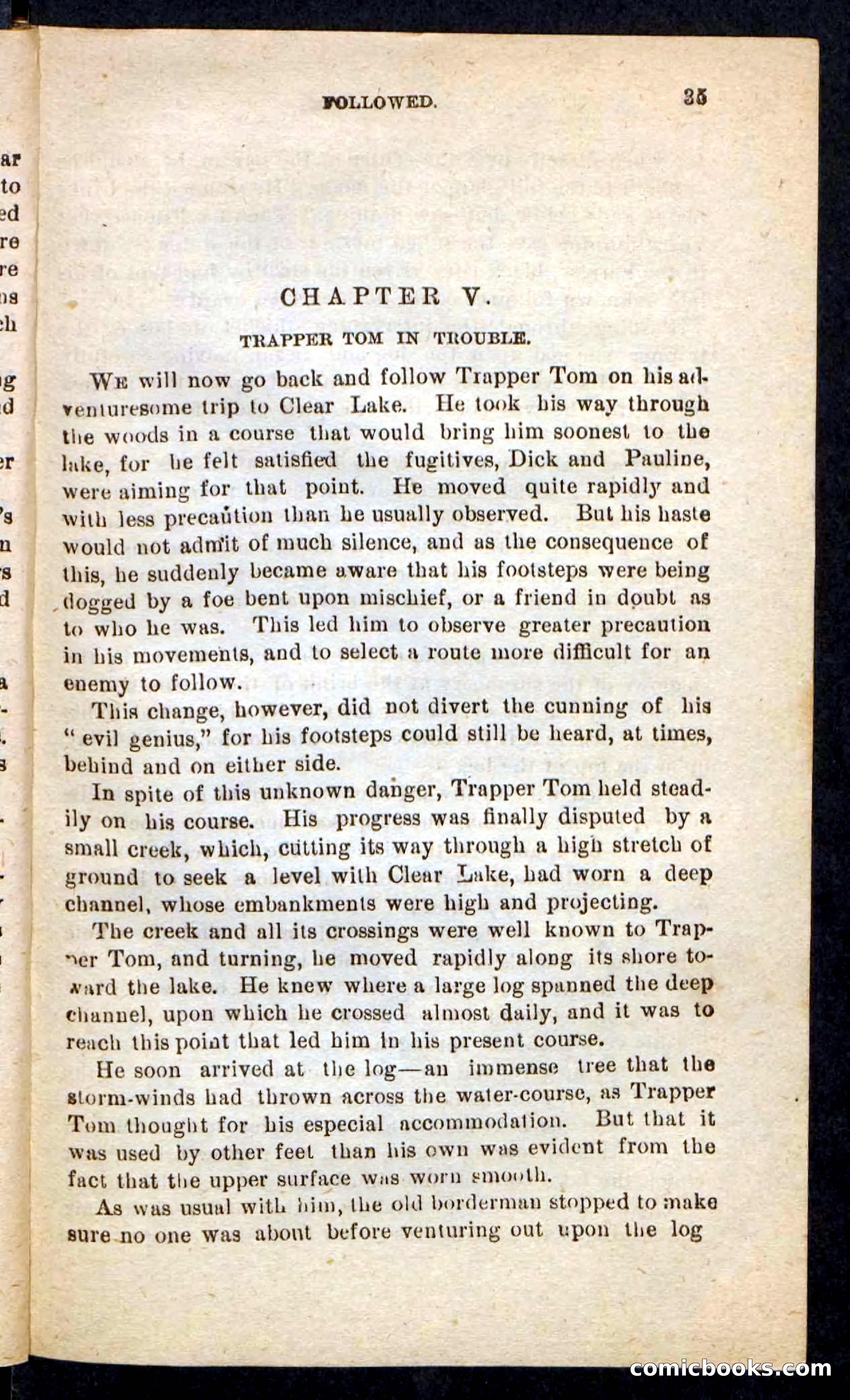Beadle's Pocket Novels No. 244: Dashing Dick — page 31 of 100
