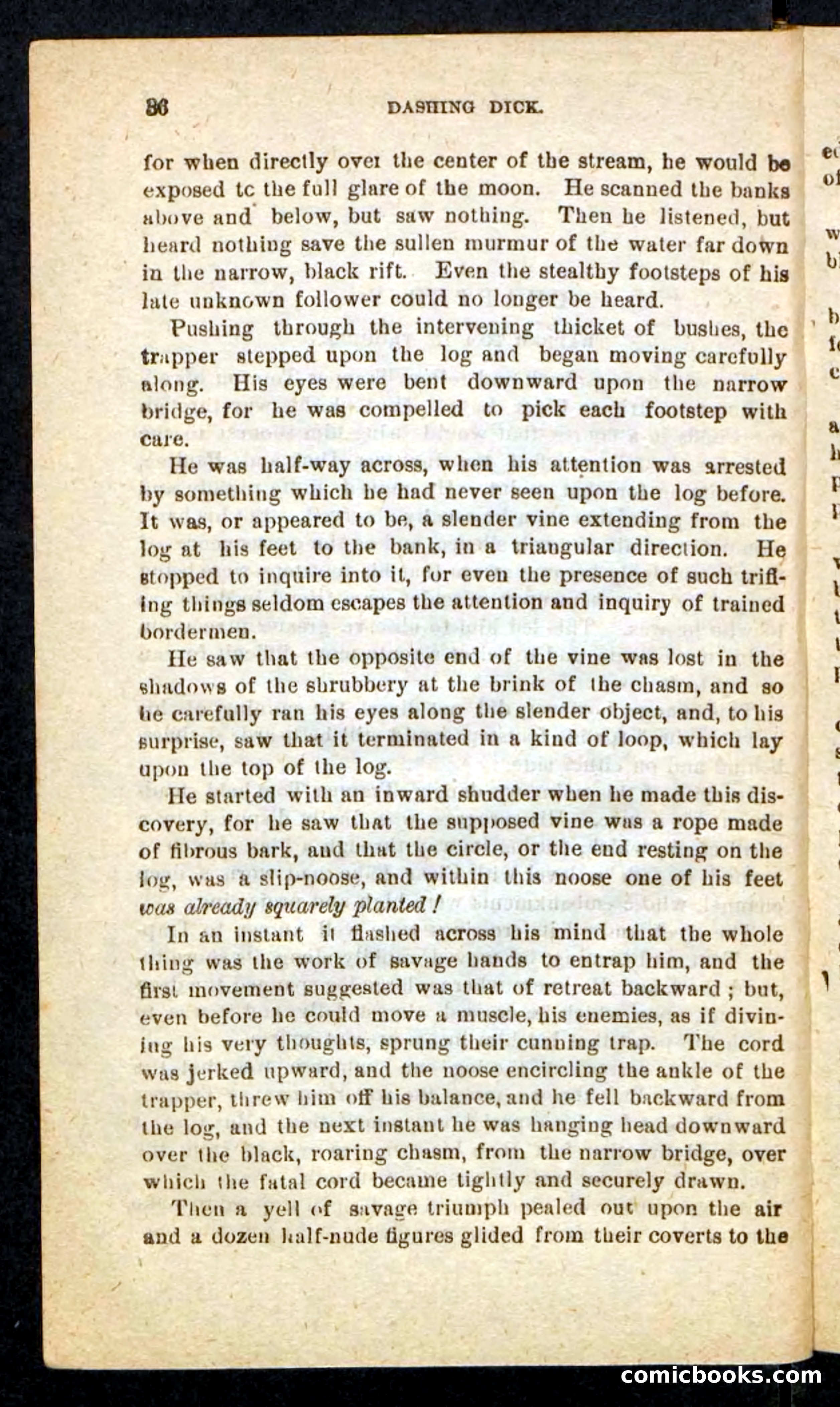 Beadle's Pocket Novels No. 244: Dashing Dick — page 32 of 100