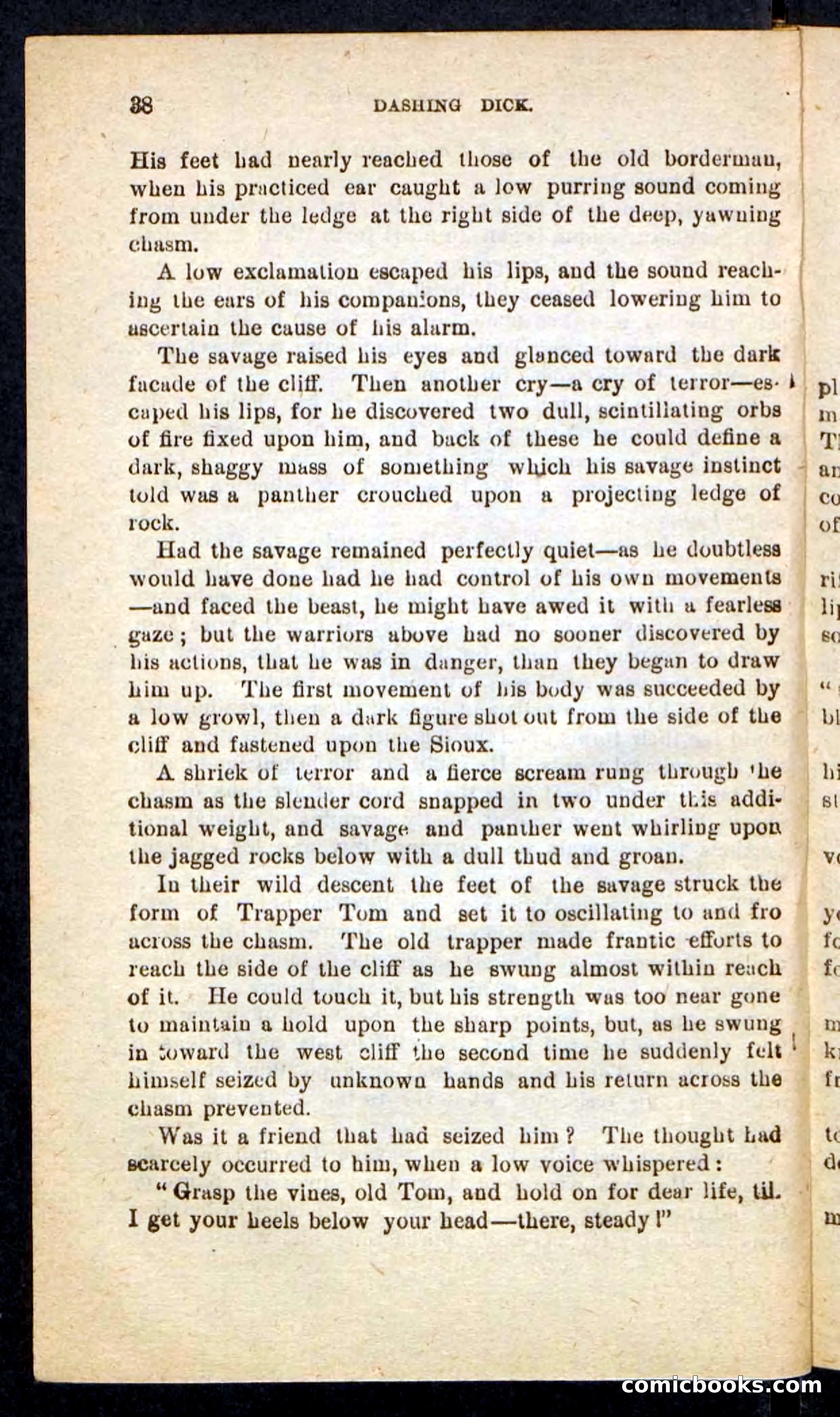 Beadle's Pocket Novels No. 244: Dashing Dick — page 34 of 100