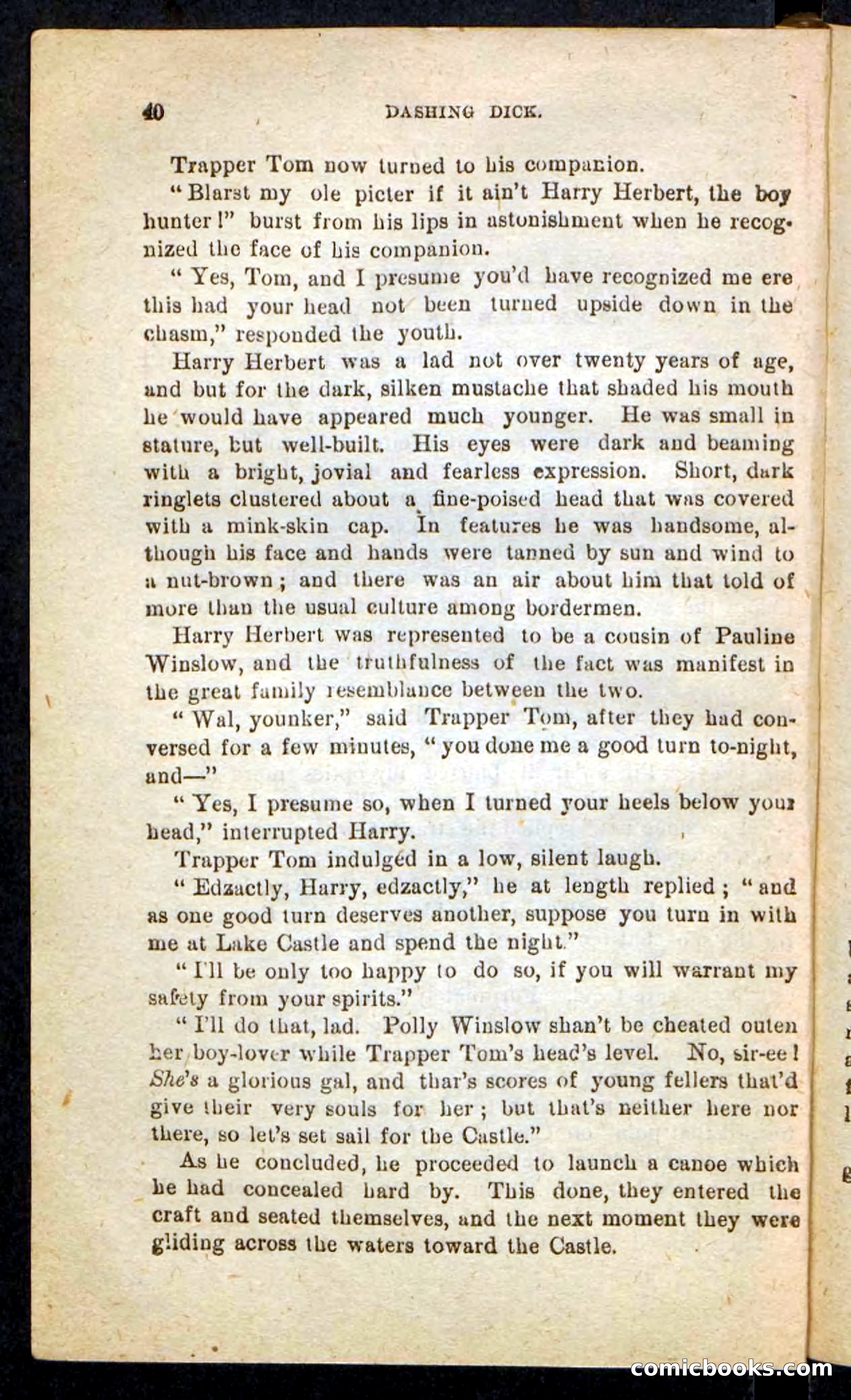 Beadle's Pocket Novels No. 244: Dashing Dick — page 36 of 100