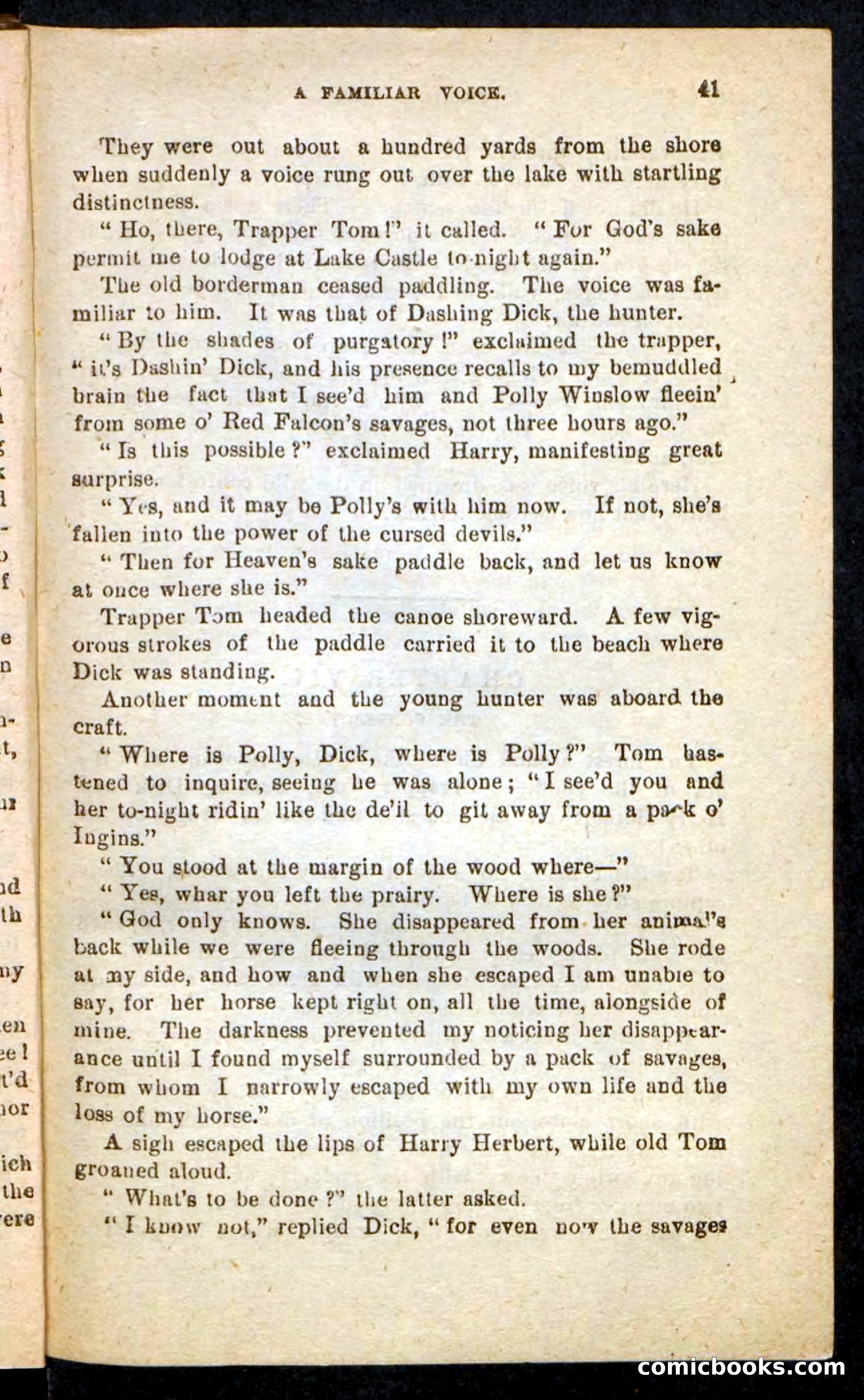 Beadle's Pocket Novels No. 244: Dashing Dick — page 37 of 100