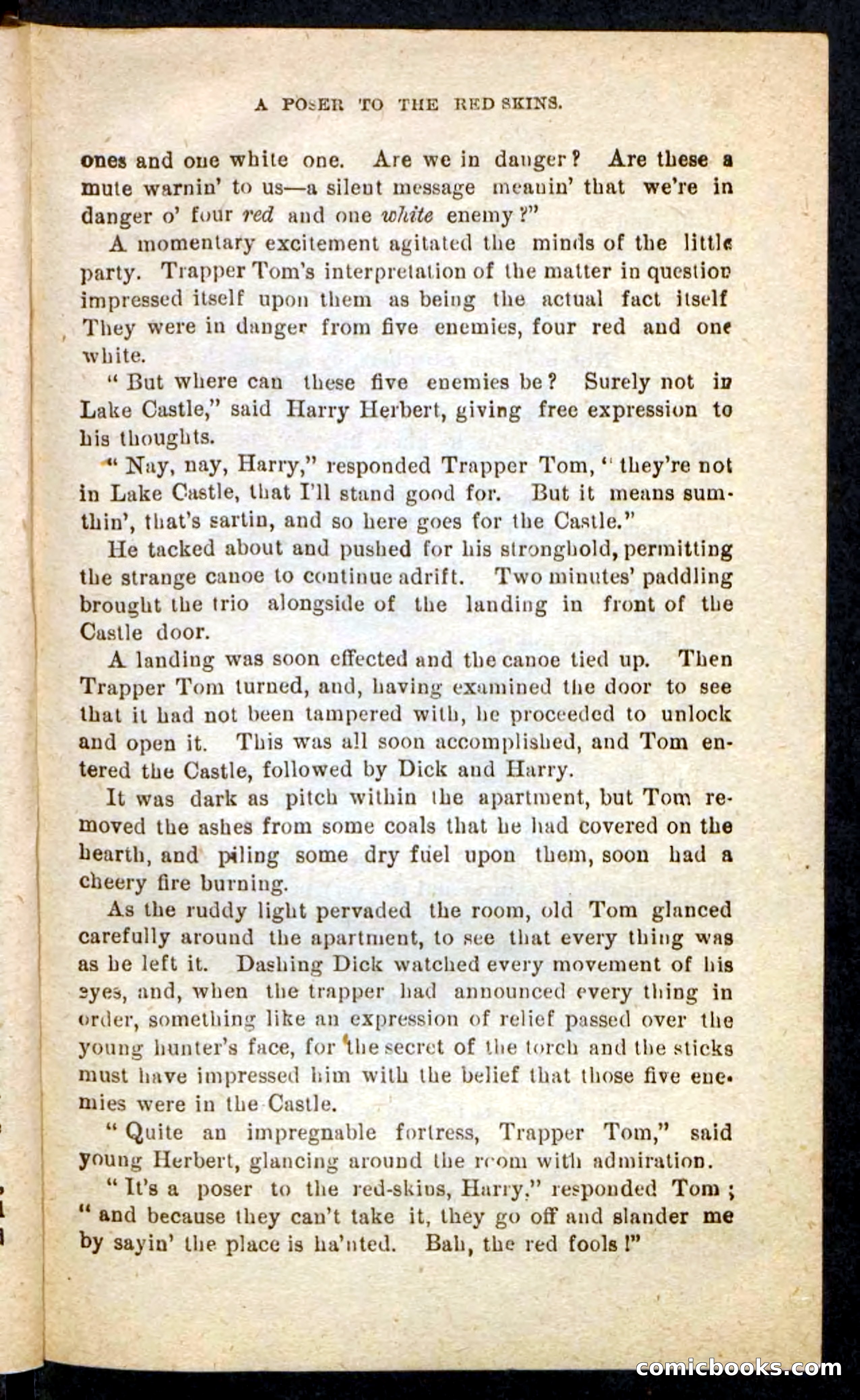 Beadle's Pocket Novels No. 244: Dashing Dick — page 41 of 100