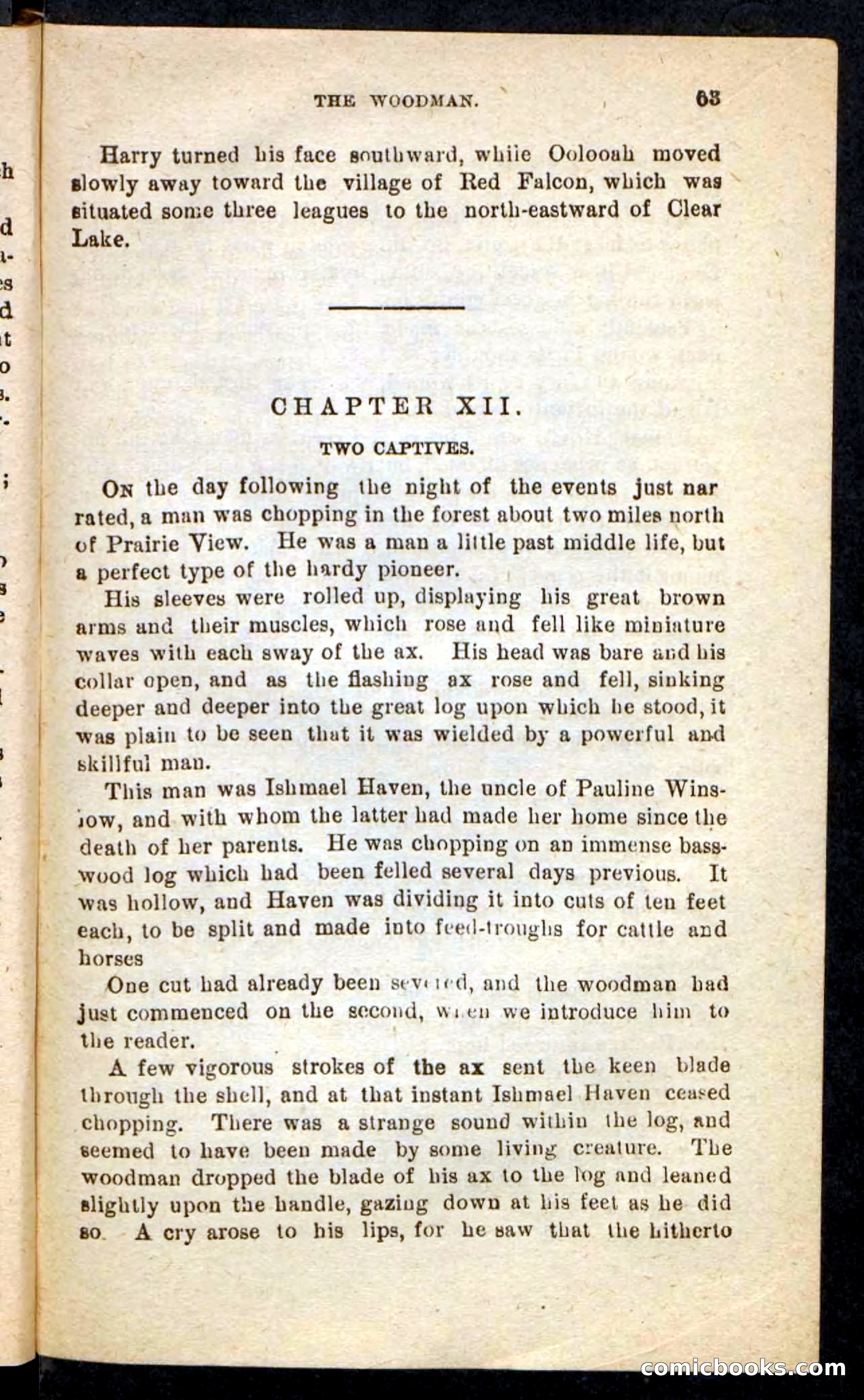 Beadle's Pocket Novels No. 244: Dashing Dick — page 59 of 100