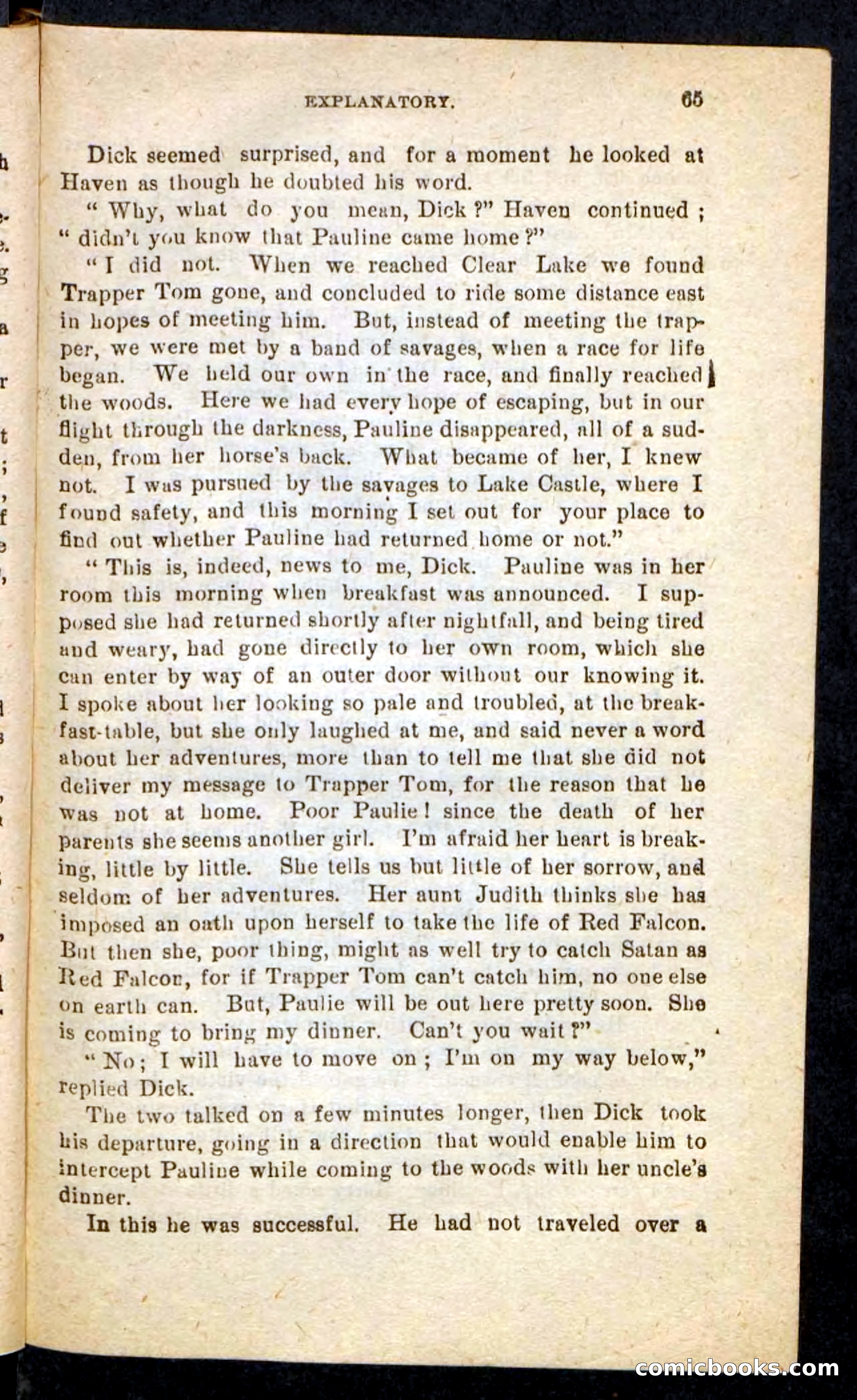 Beadle's Pocket Novels No. 244: Dashing Dick — page 61 of 100