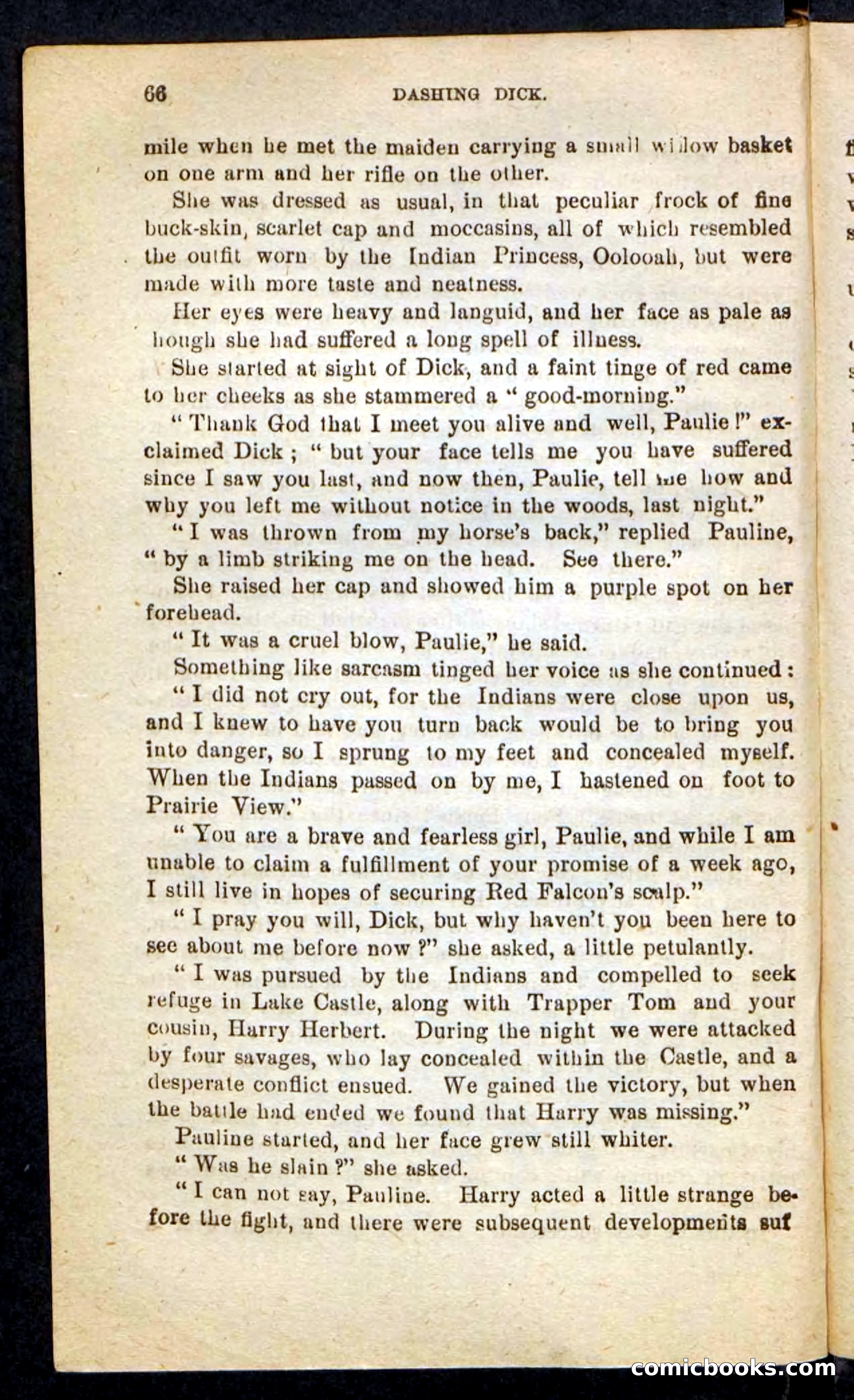 Beadle's Pocket Novels No. 244: Dashing Dick — page 62 of 100