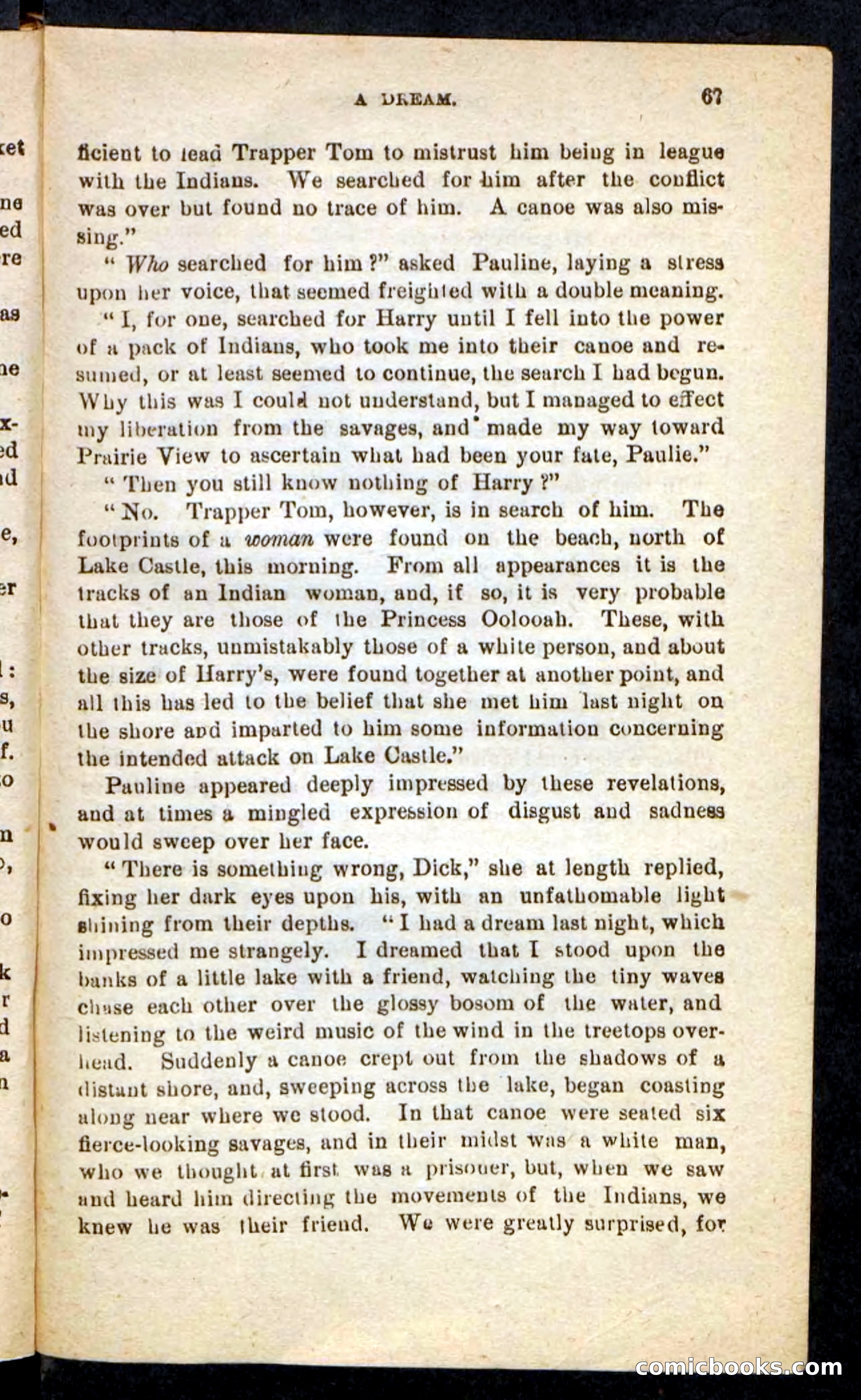 Beadle's Pocket Novels No. 244: Dashing Dick — page 63 of 100