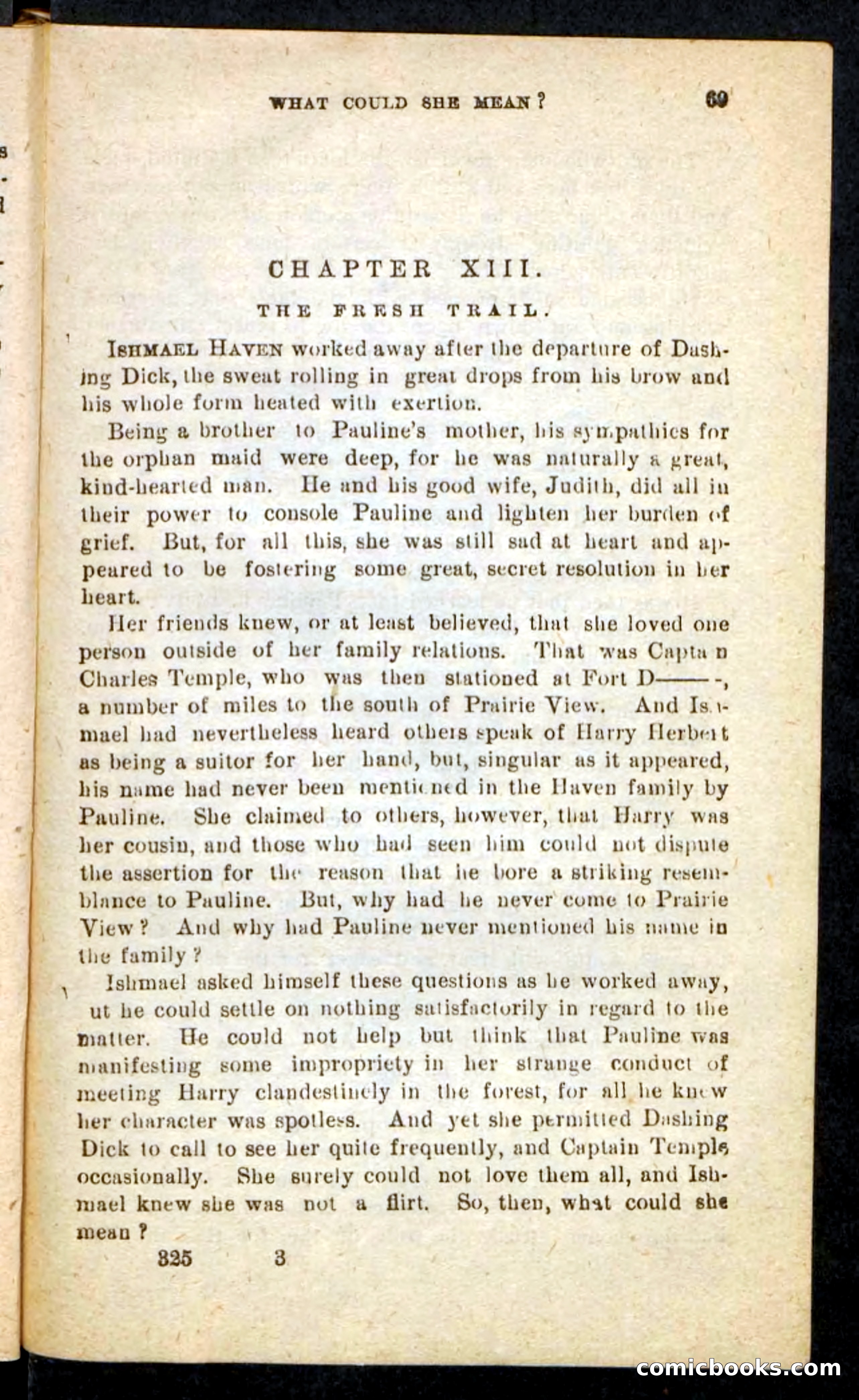 Beadle's Pocket Novels No. 244: Dashing Dick — page 65 of 100