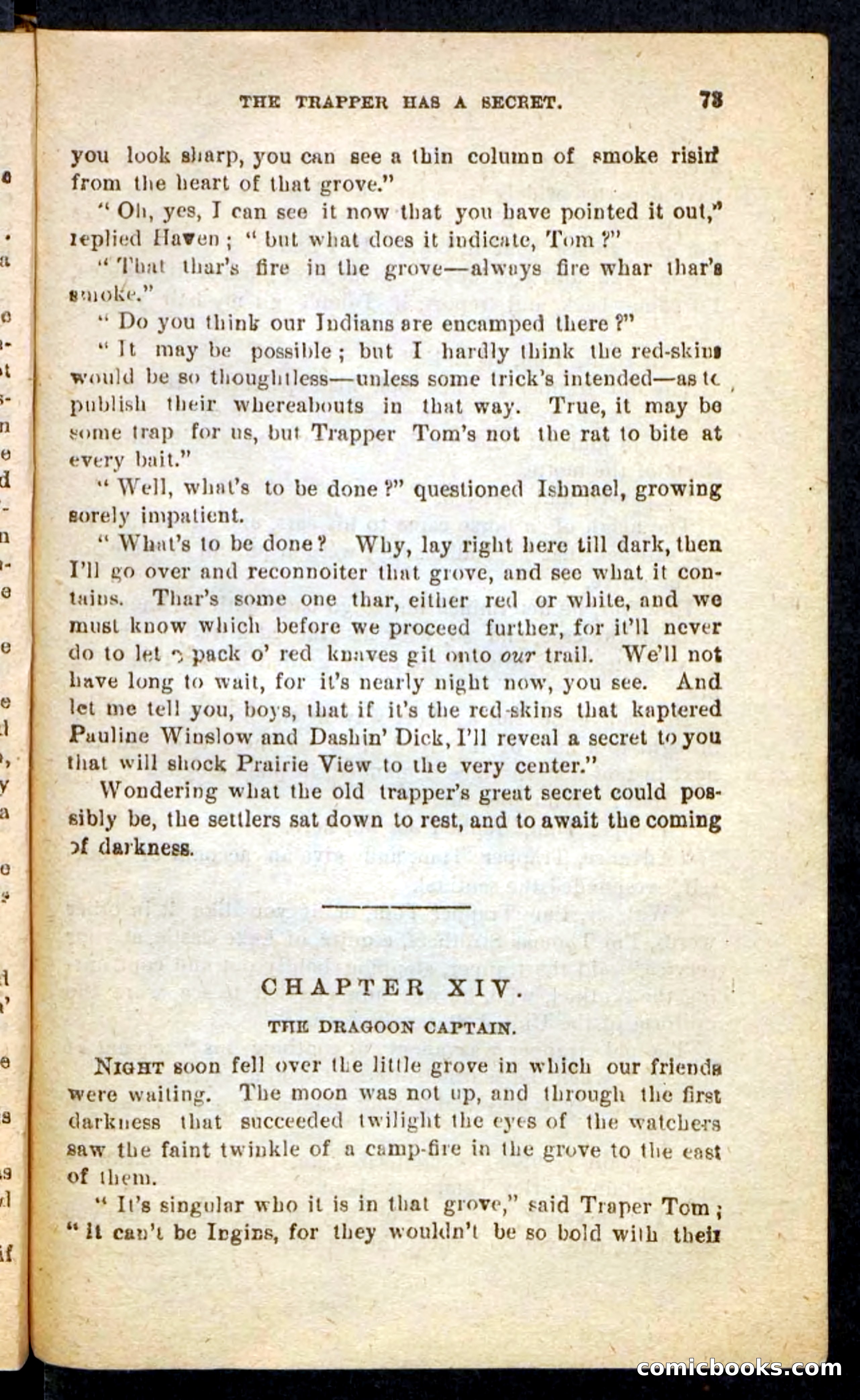 Beadle's Pocket Novels No. 244: Dashing Dick — page 69 of 100