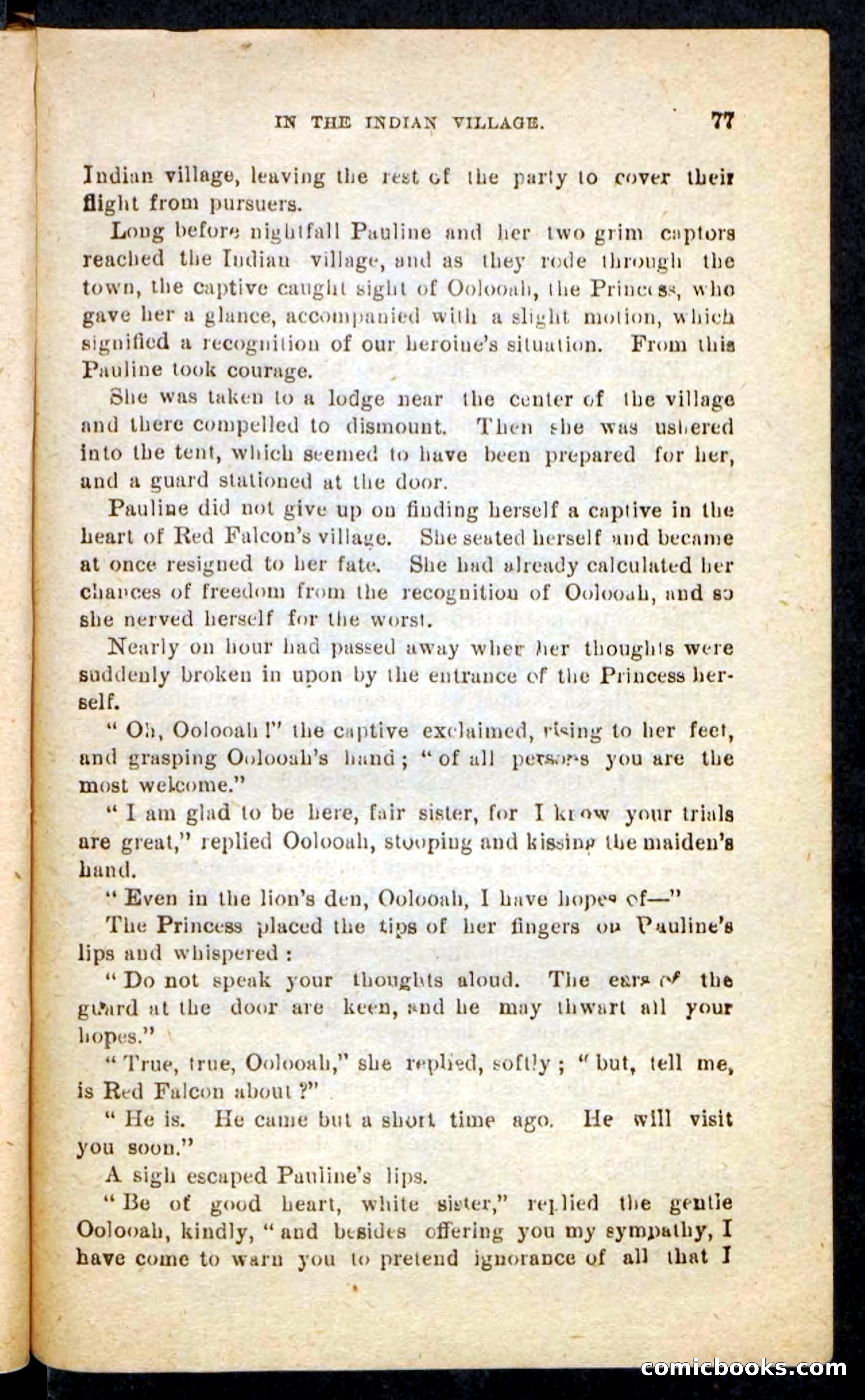 Beadle's Pocket Novels No. 244: Dashing Dick — page 73 of 100