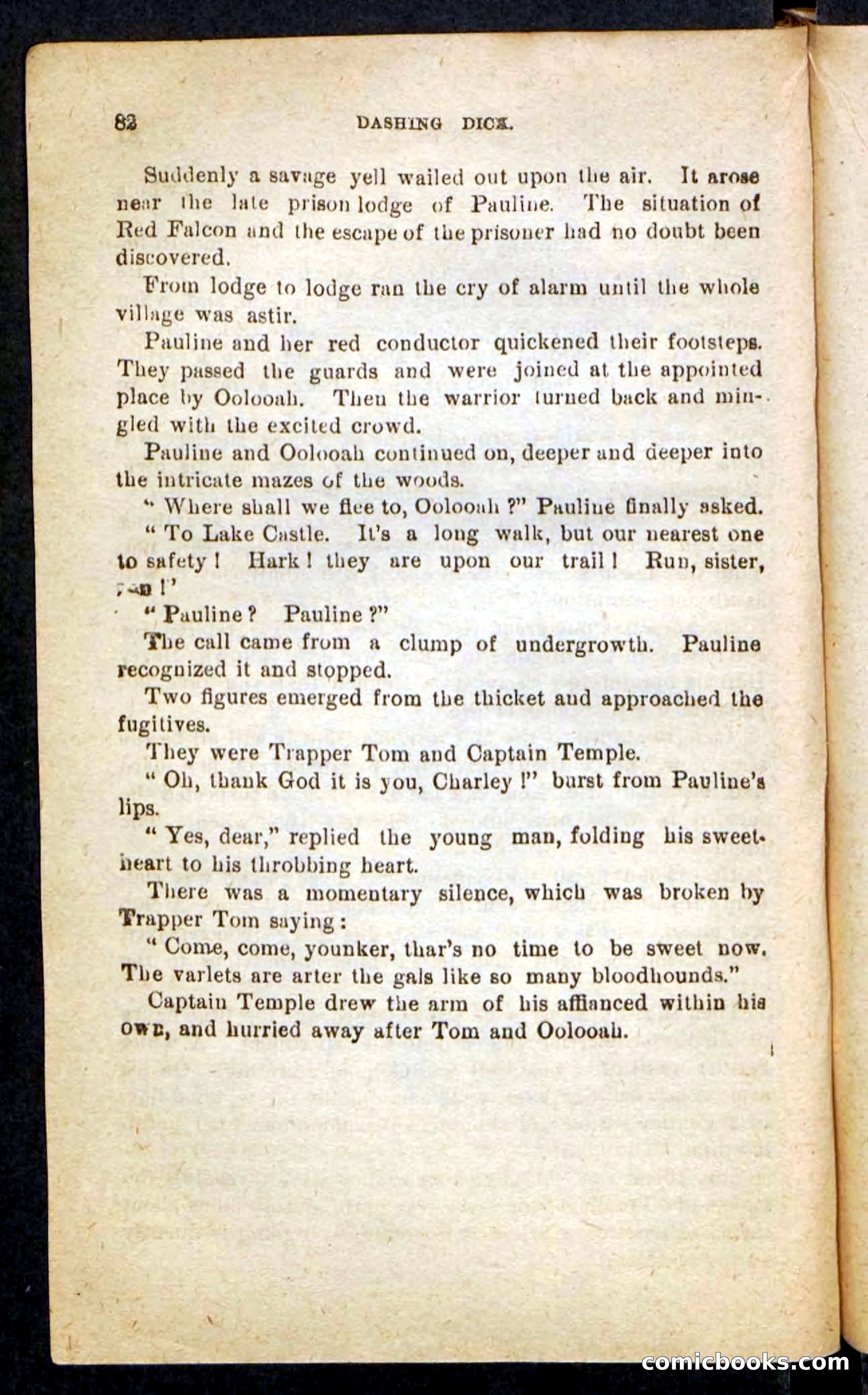 Beadle's Pocket Novels No. 244: Dashing Dick — page 78 of 100