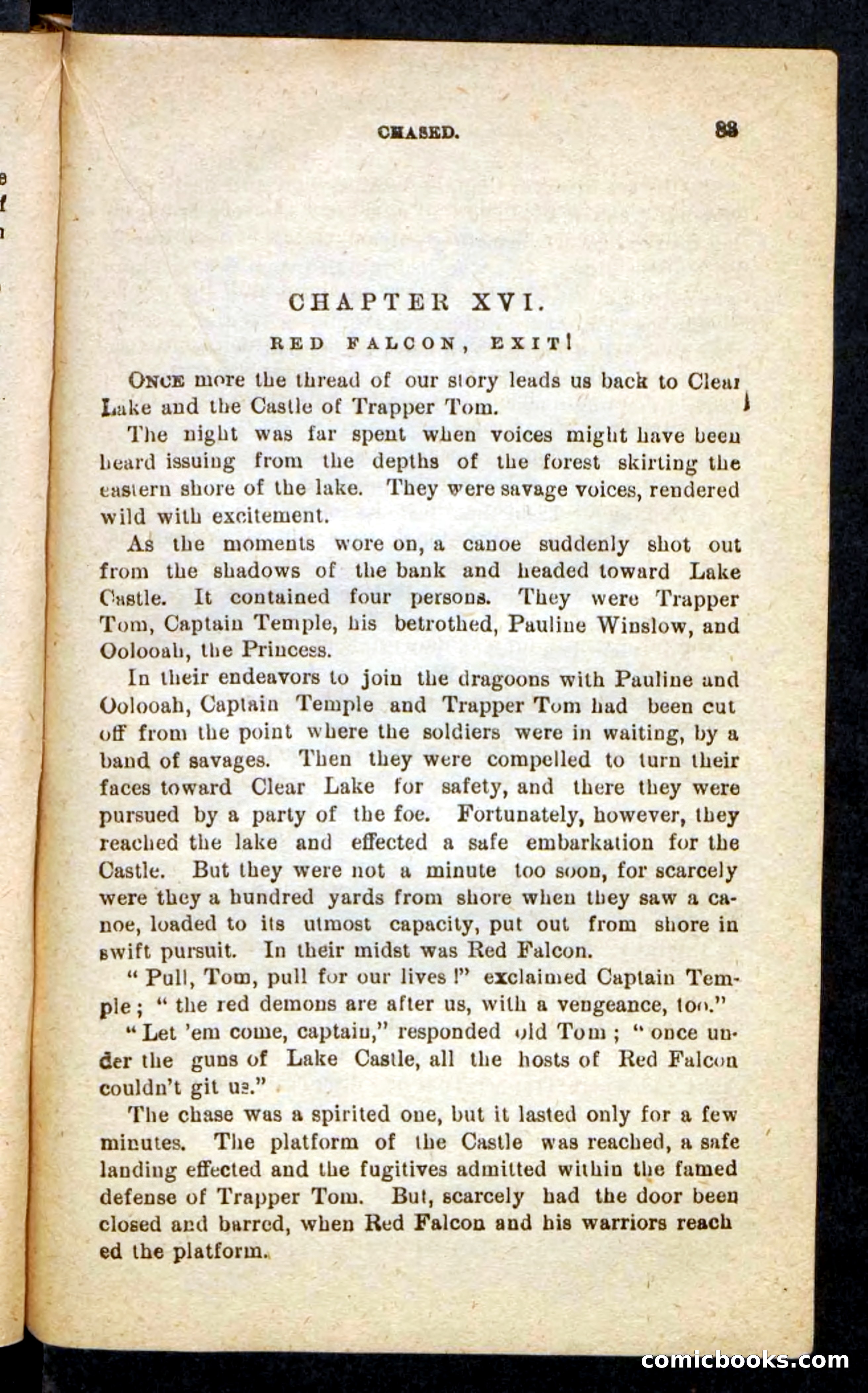 Beadle's Pocket Novels No. 244: Dashing Dick — page 79 of 100