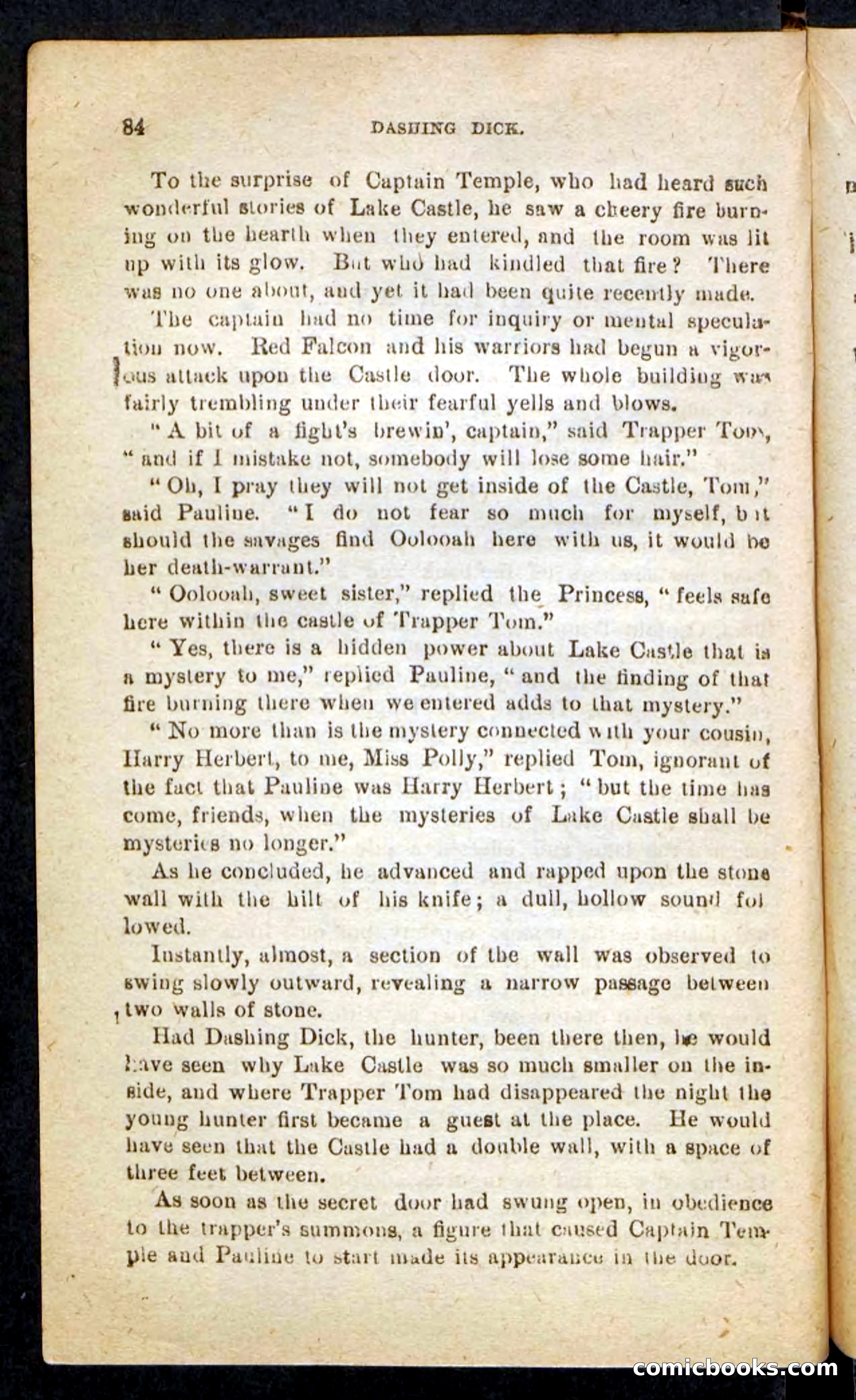 Beadle's Pocket Novels No. 244: Dashing Dick — page 80 of 100