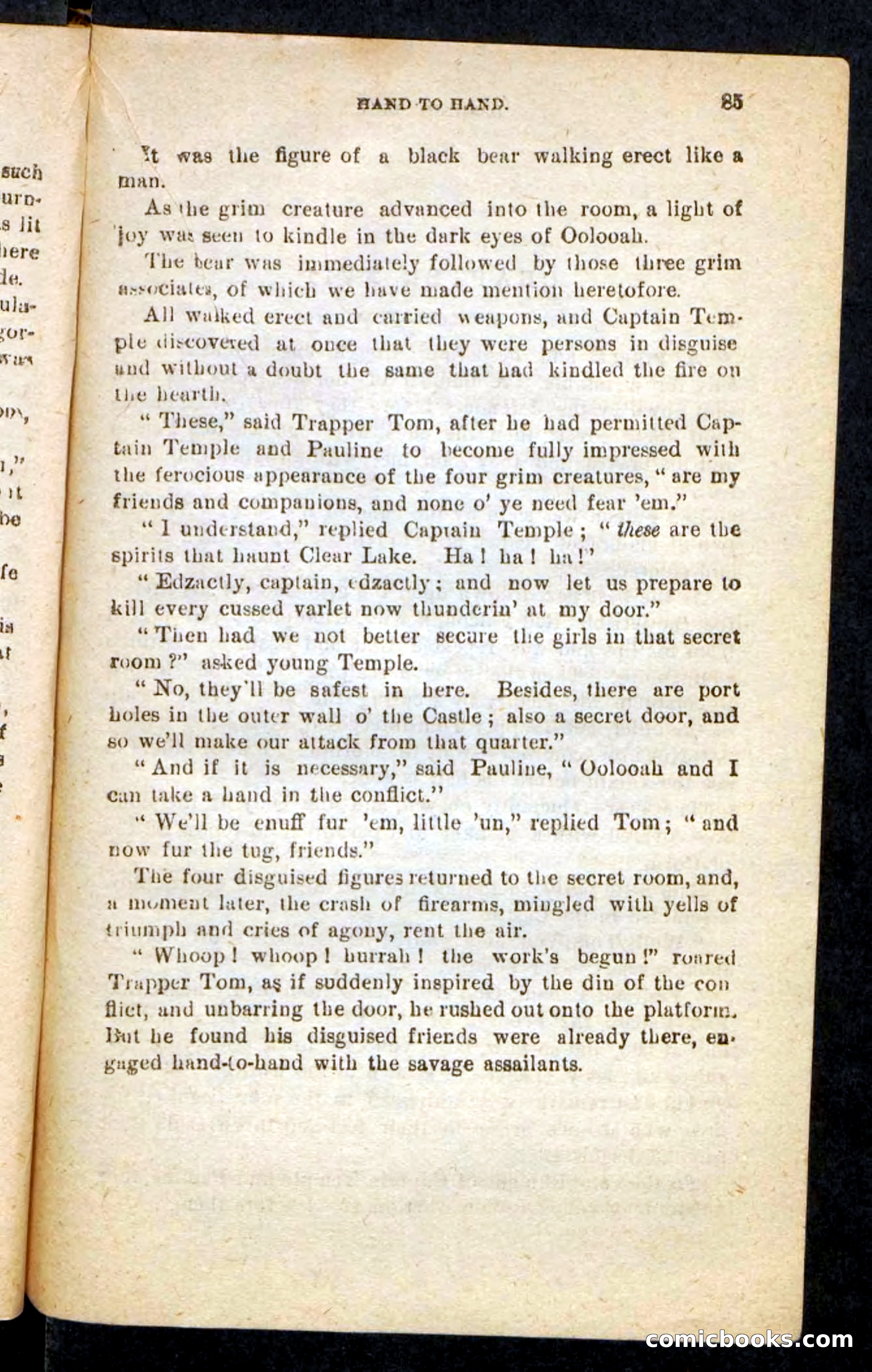 Beadle's Pocket Novels No. 244: Dashing Dick — page 81 of 100