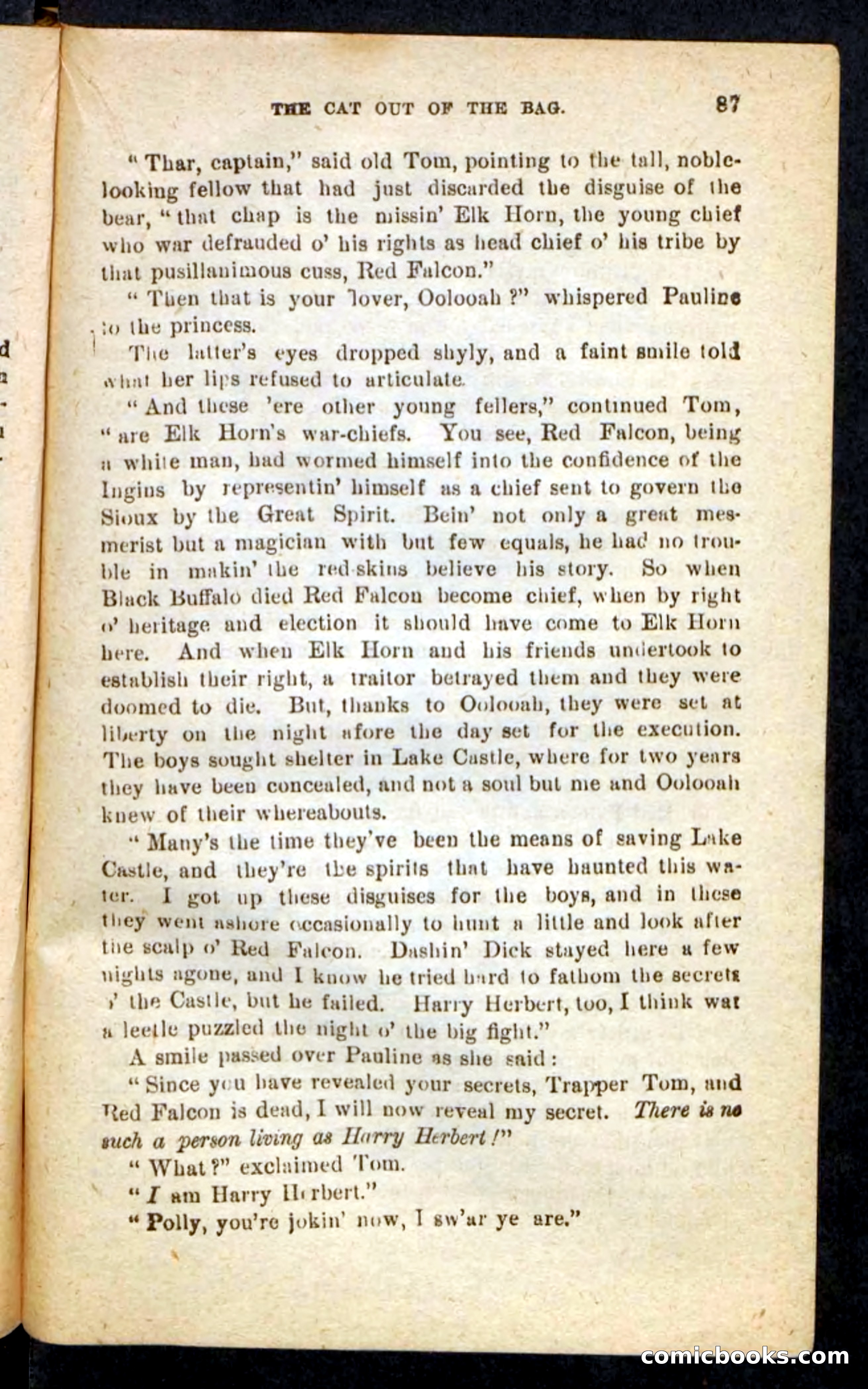 Beadle's Pocket Novels No. 244: Dashing Dick — page 83 of 100