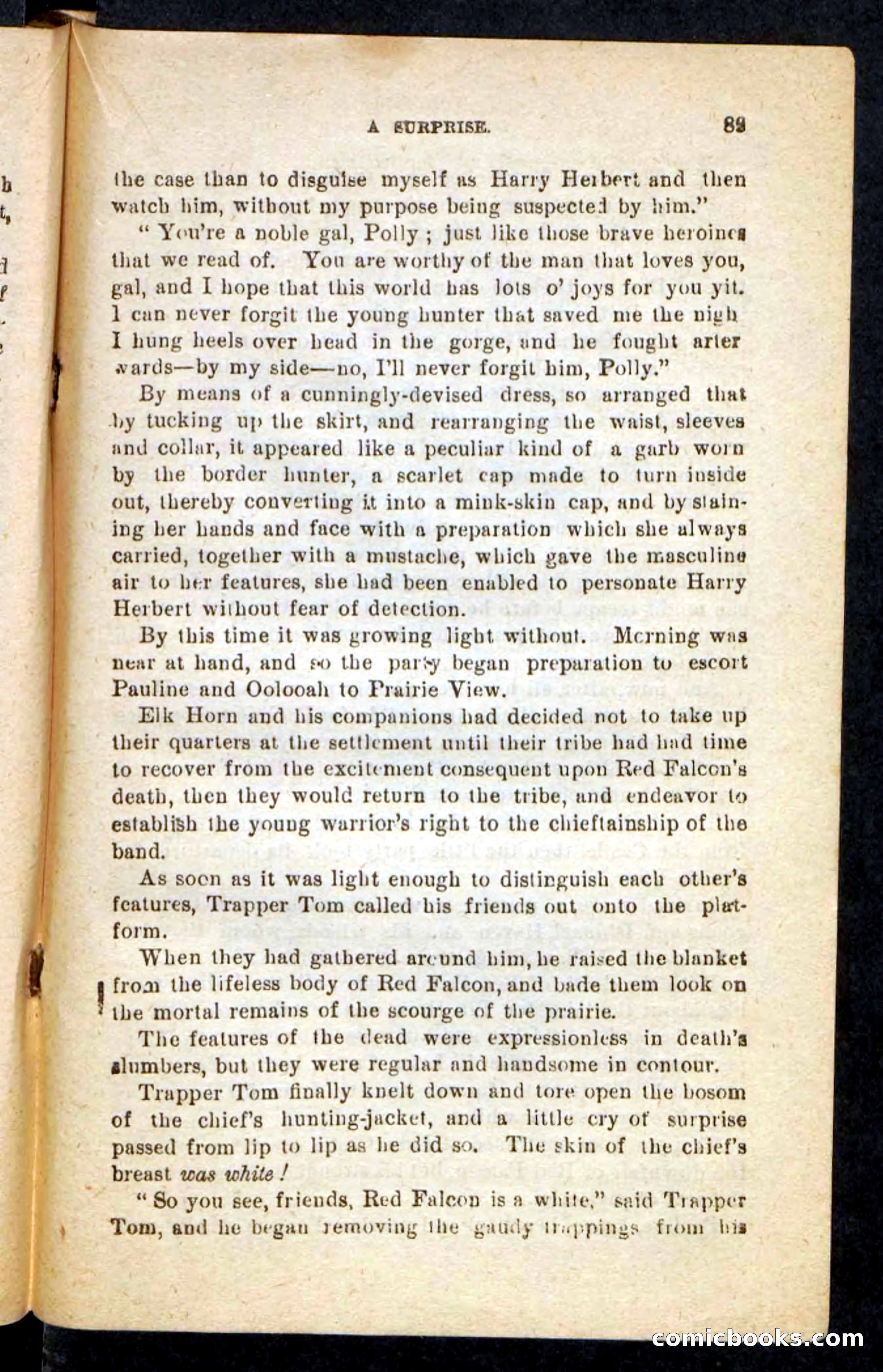 Beadle's Pocket Novels No. 244: Dashing Dick — page 85 of 100