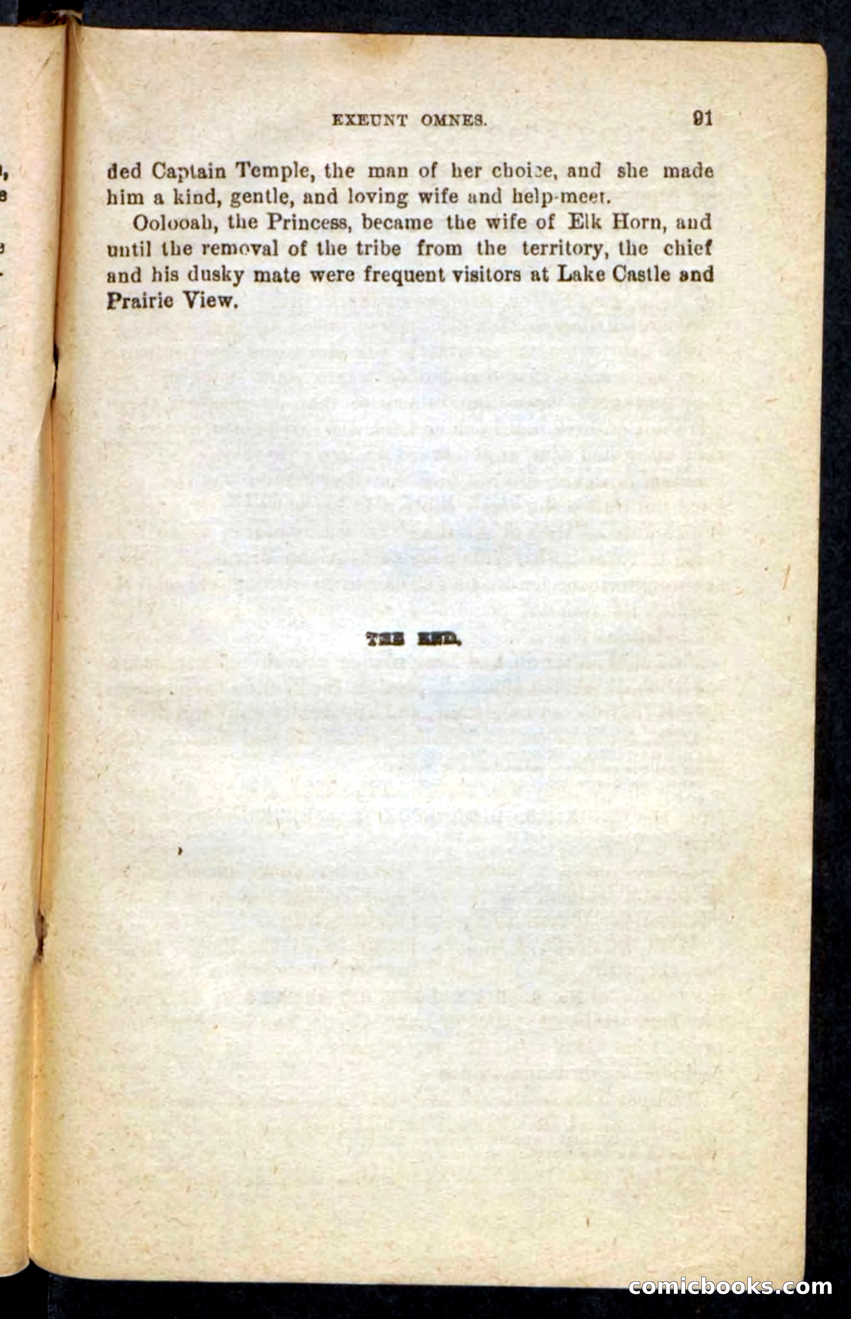 Beadle's Pocket Novels No. 244: Dashing Dick — page 87 of 100