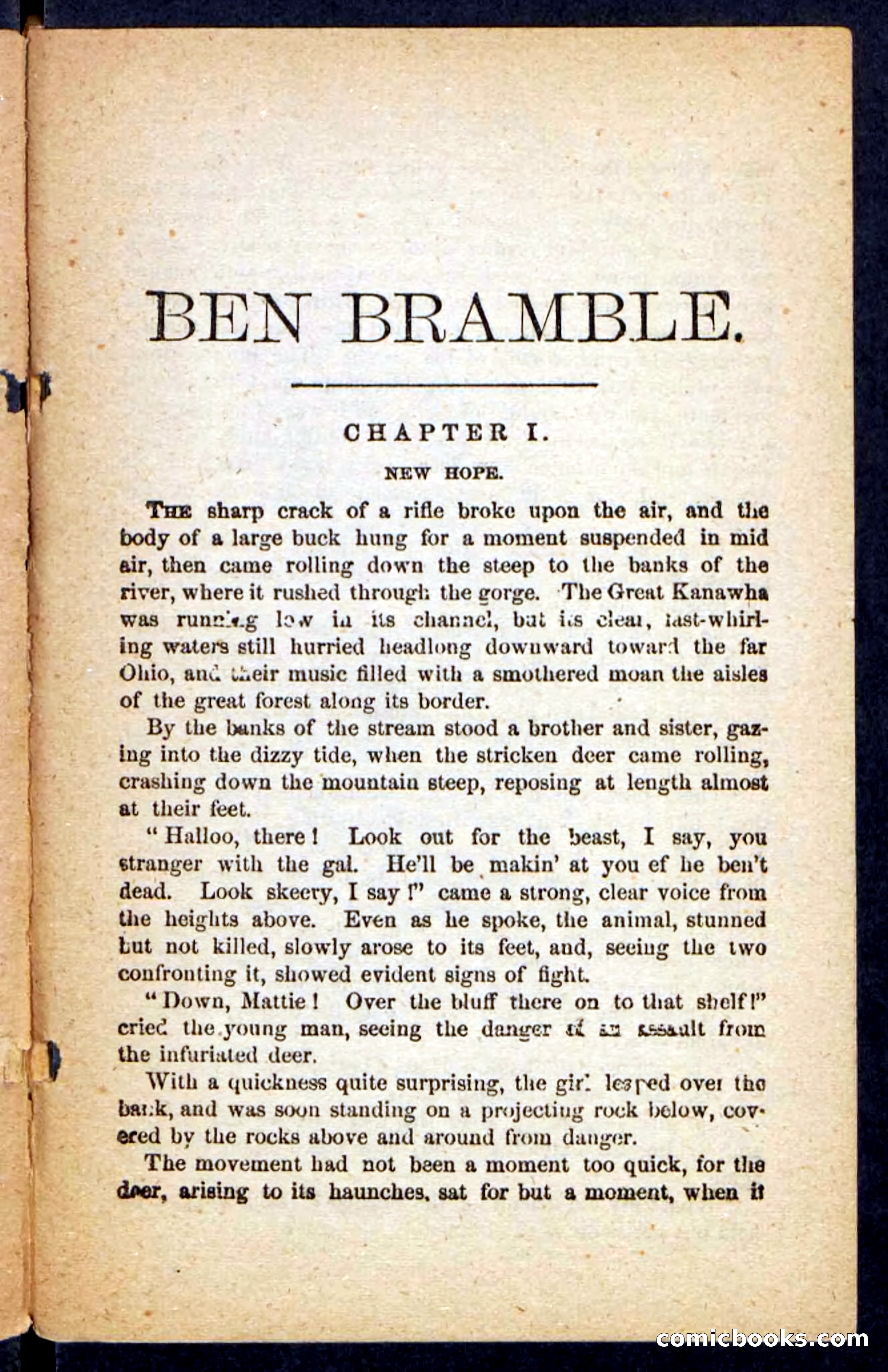 Beadle's Pocket Novels No. 246: Ben Bramble — page 5 of 132