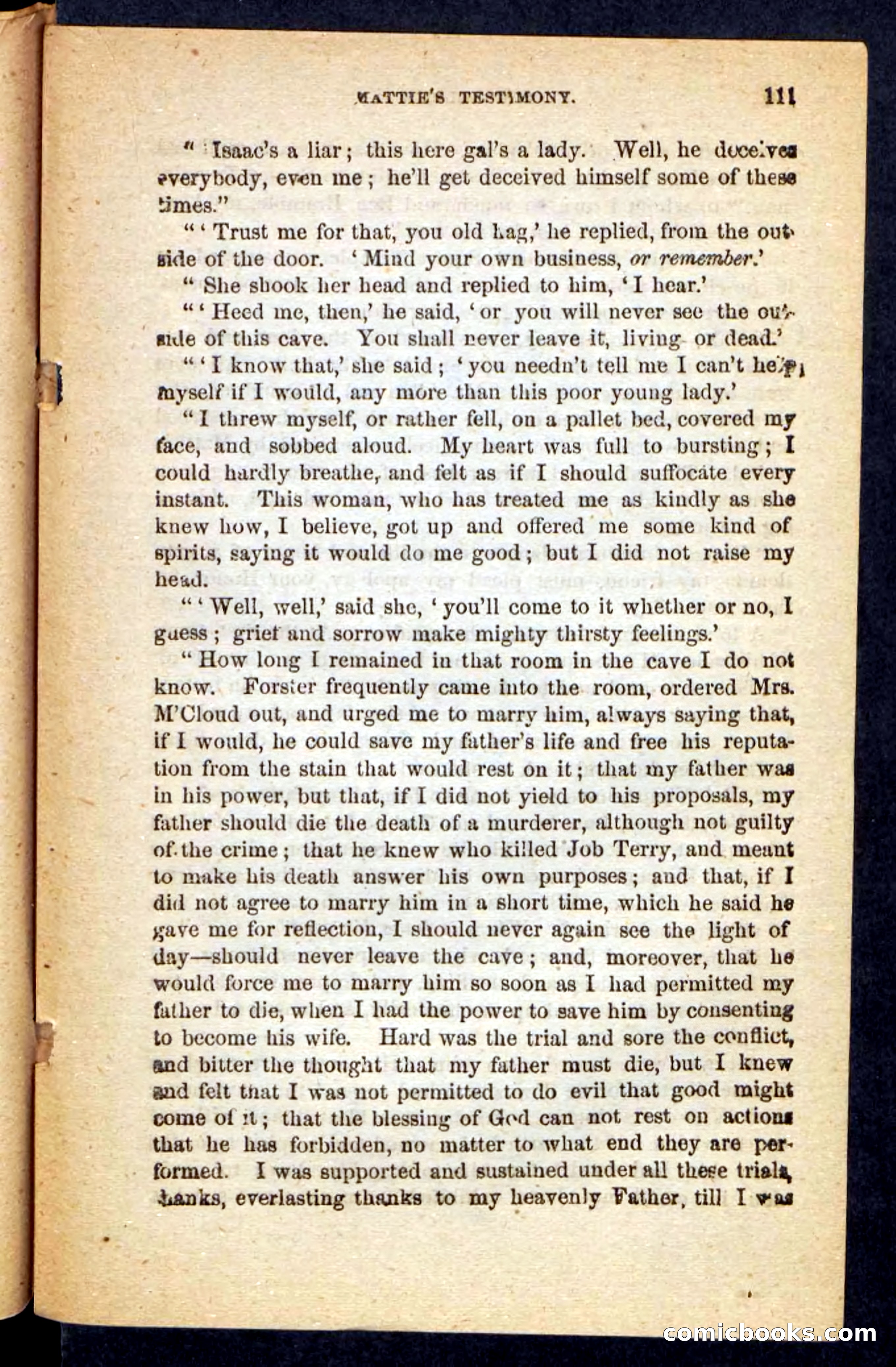Beadle's Pocket Novels No. 246: Ben Bramble — page 111 of 132