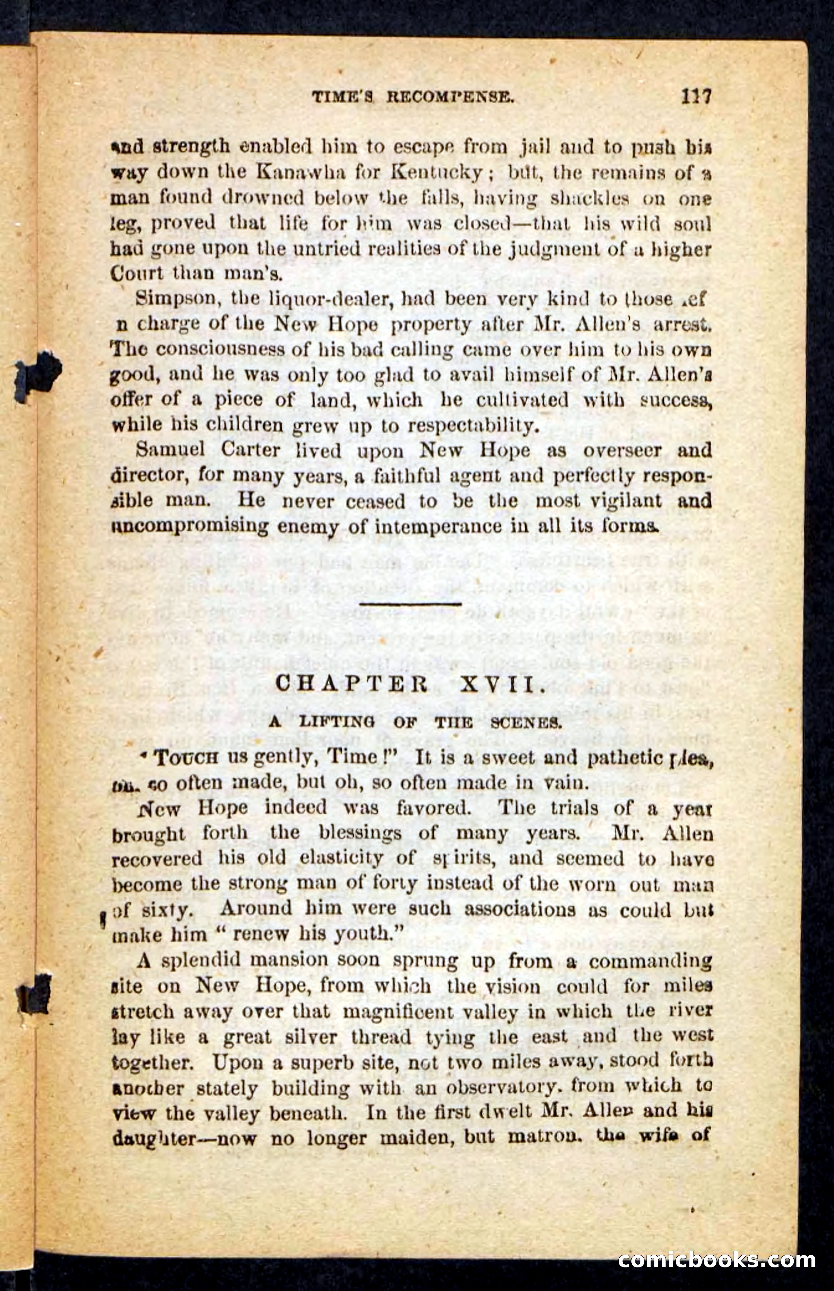Beadle's Pocket Novels No. 246: Ben Bramble — page 117 of 132
