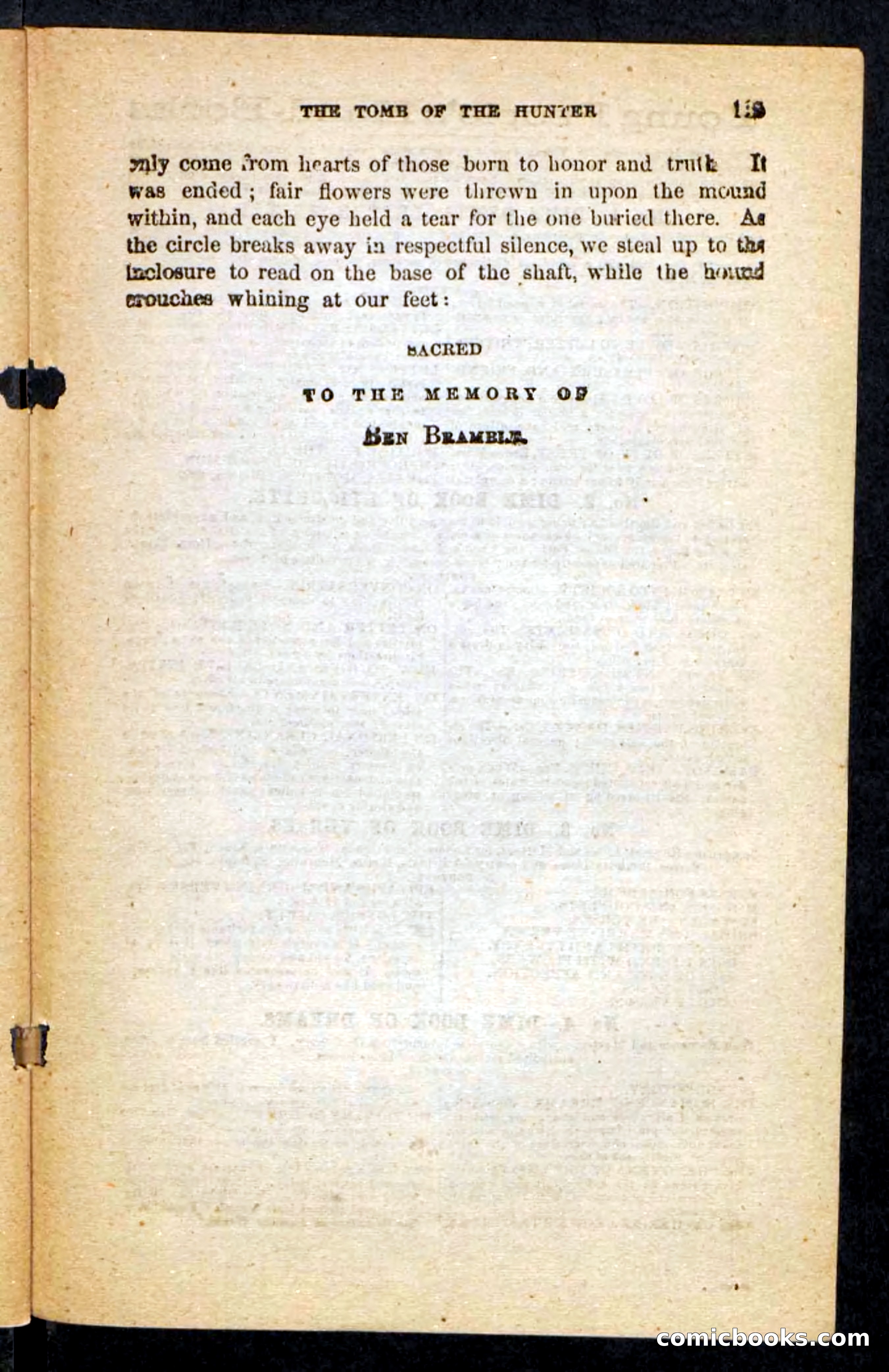 Beadle's Pocket Novels No. 246: Ben Bramble — page 119 of 132