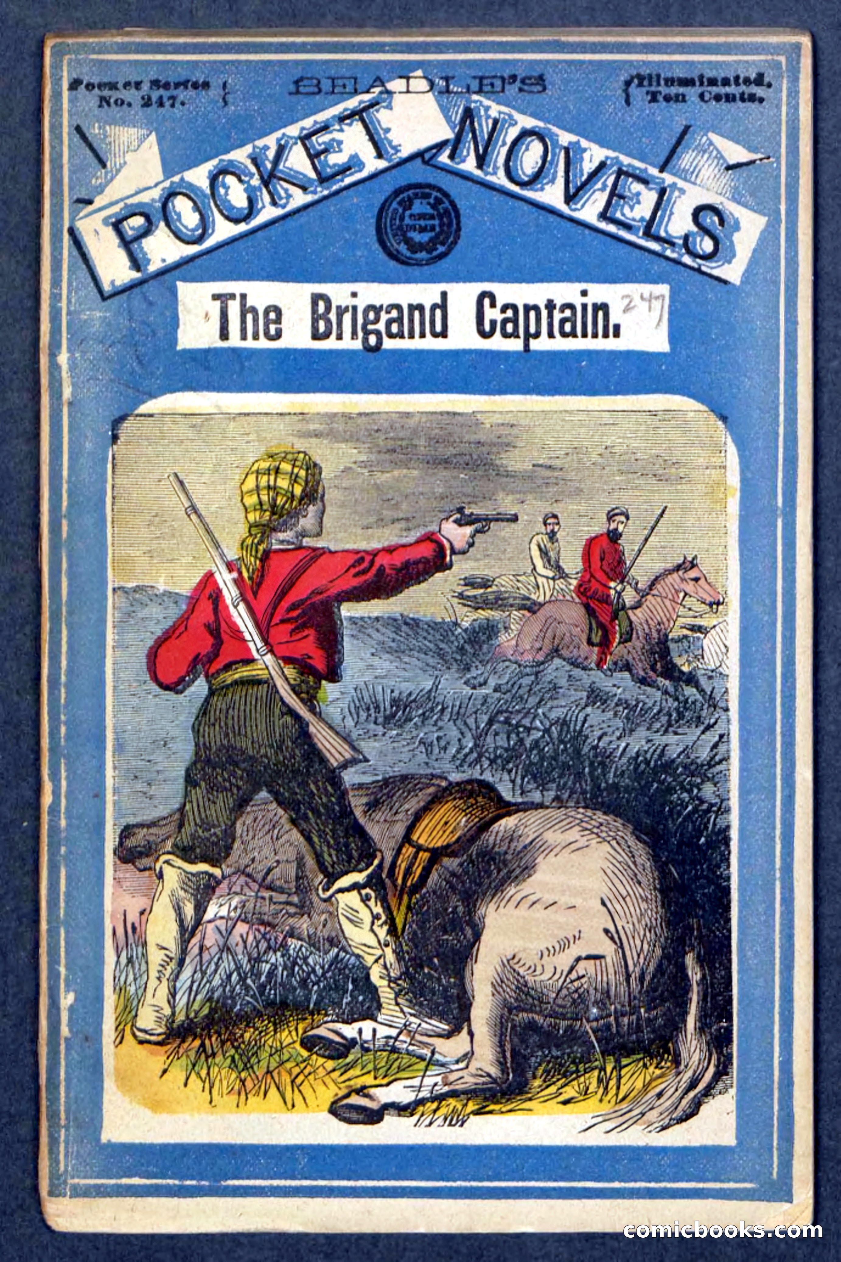 The Brigand Captain