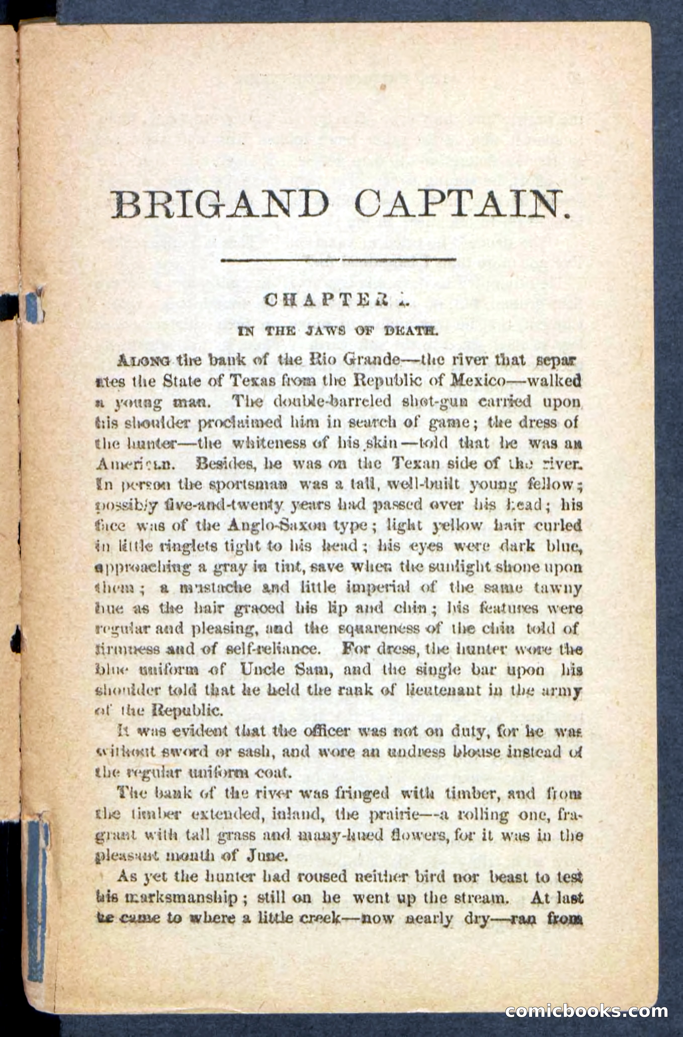 The Brigand Captain — page 5 of 100