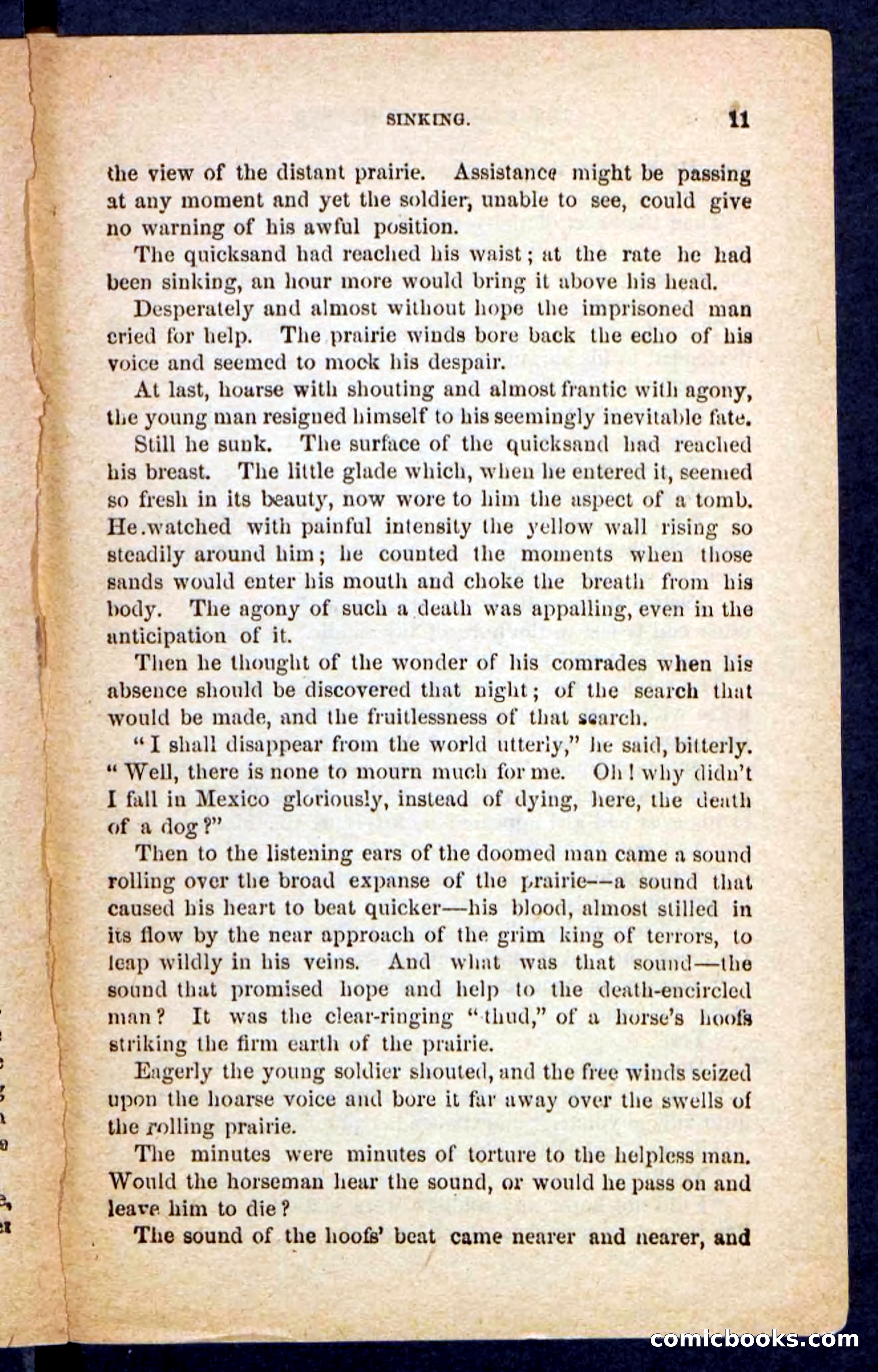 The Brigand Captain — page 7 of 100