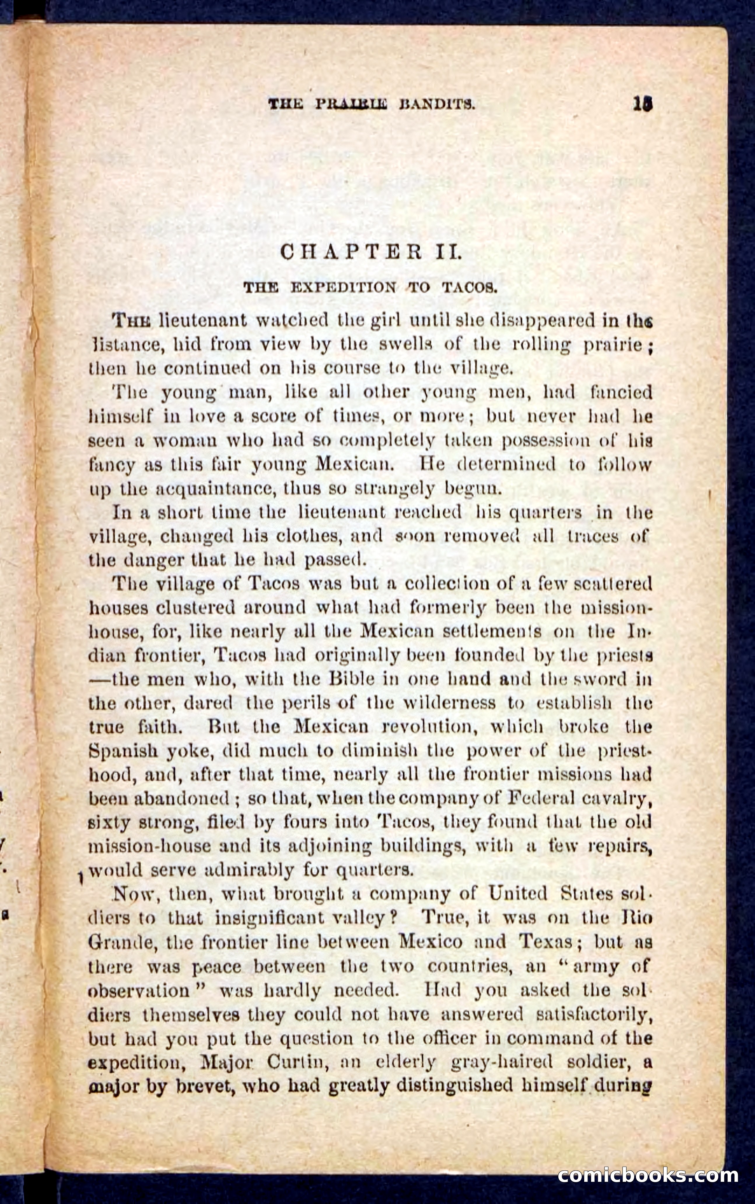 The Brigand Captain — page 11 of 100