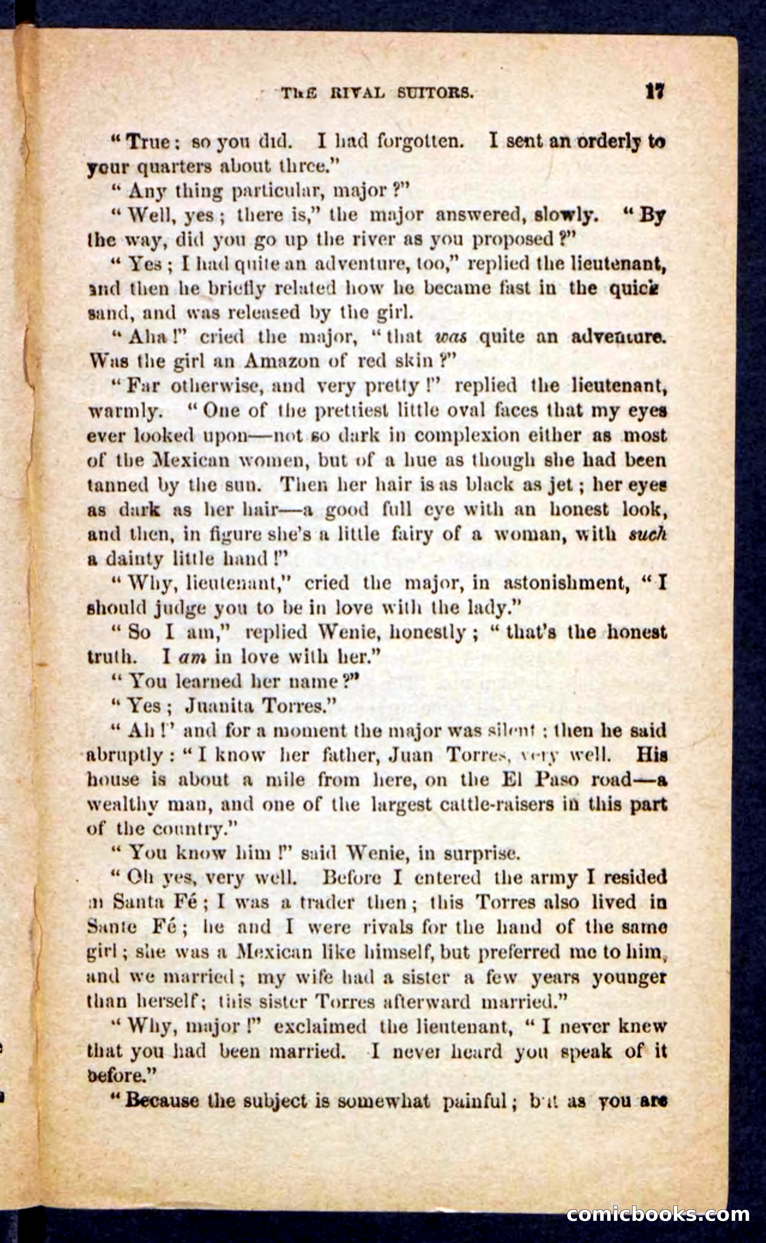 The Brigand Captain — page 13 of 100