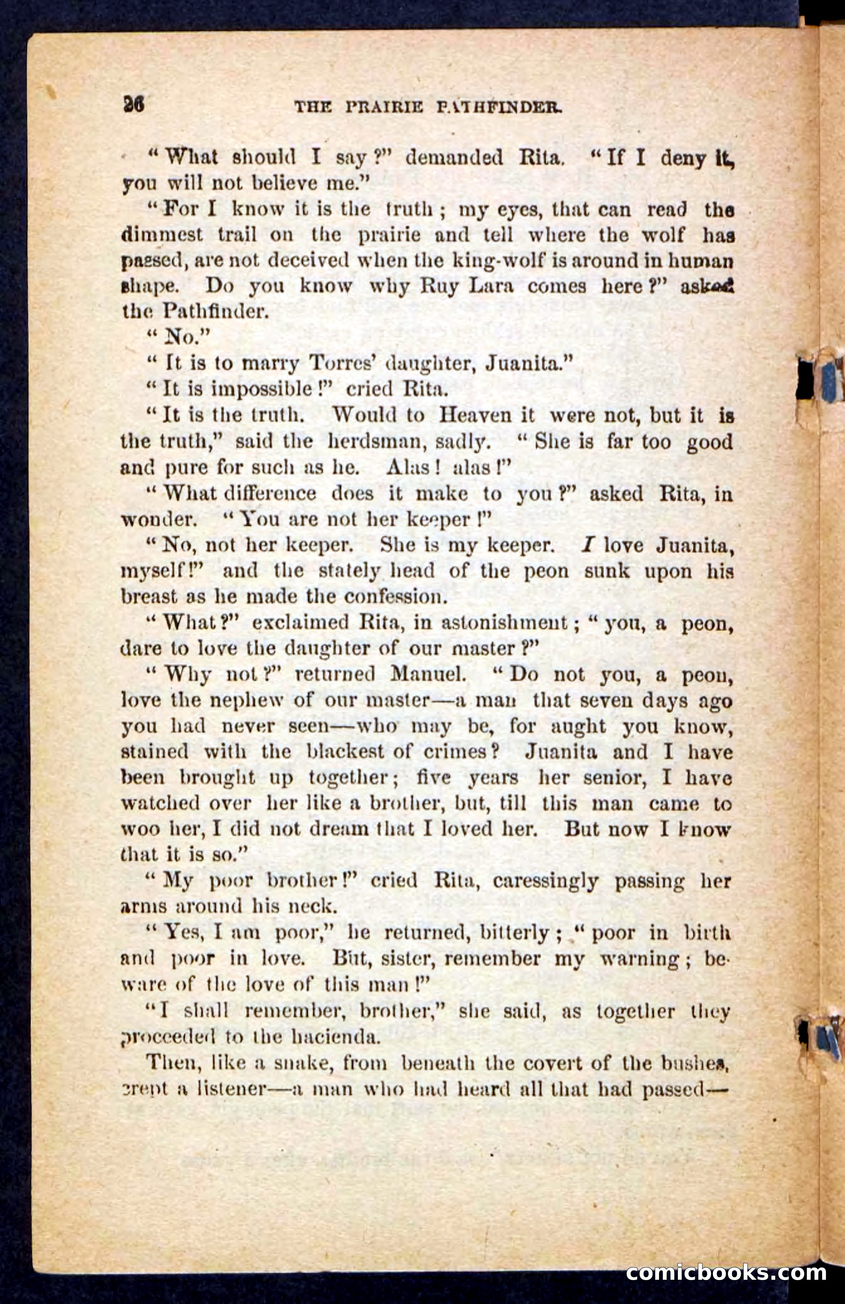 The Brigand Captain — page 22 of 100
