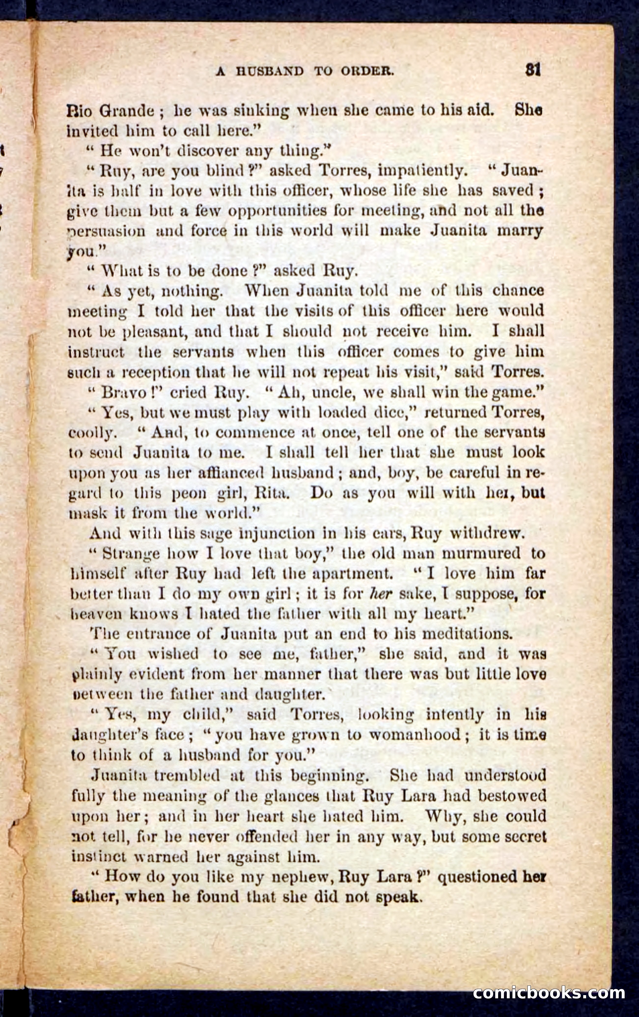 The Brigand Captain — page 27 of 100