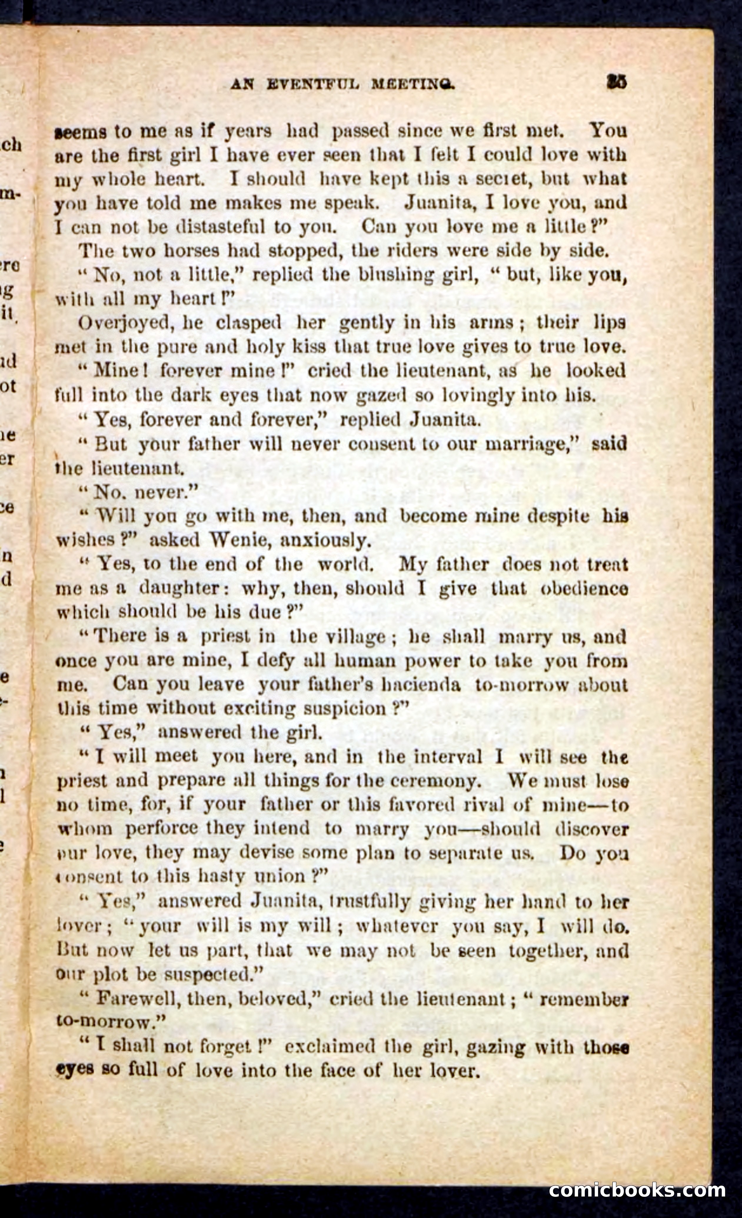 The Brigand Captain — page 31 of 100