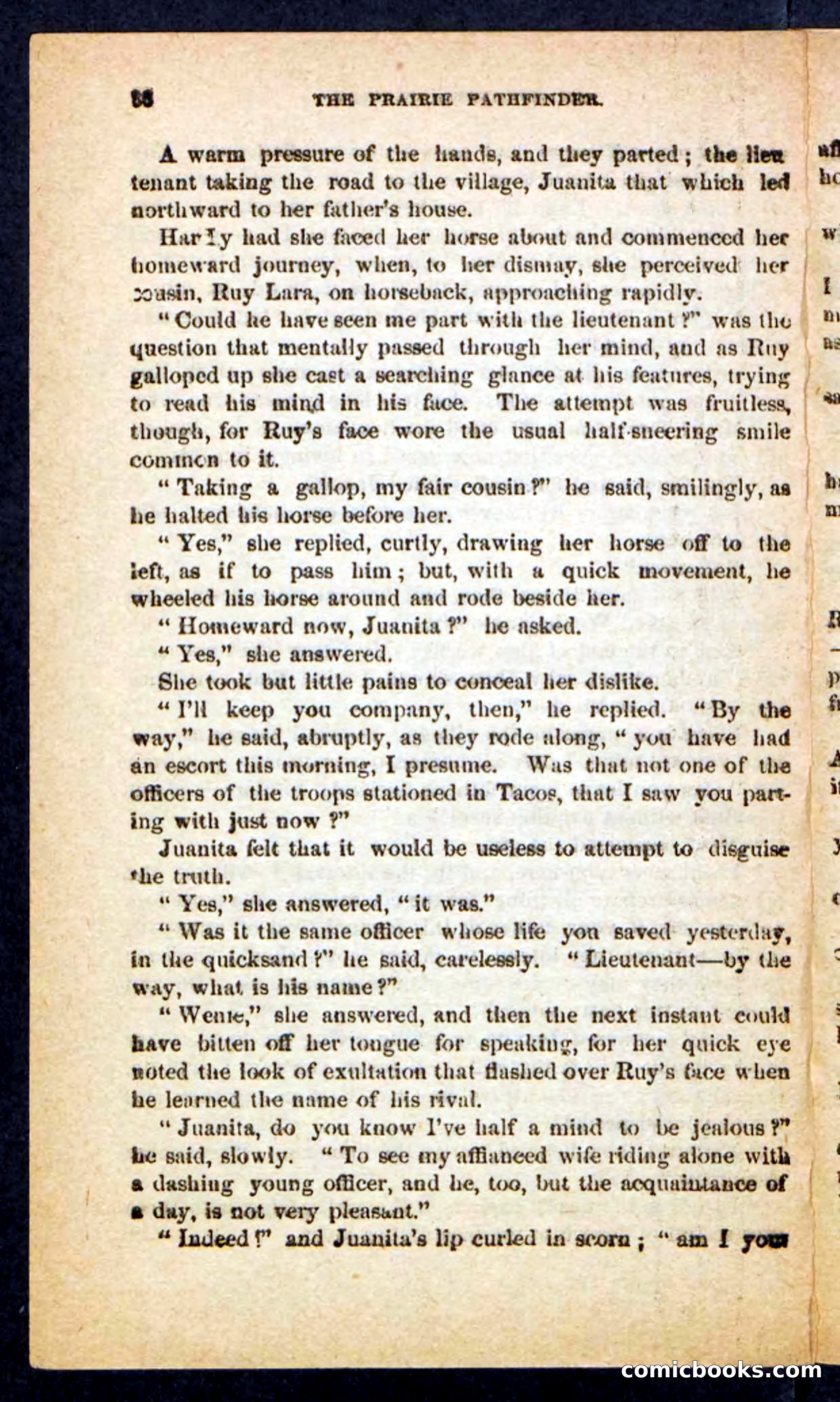 The Brigand Captain — page 32 of 100