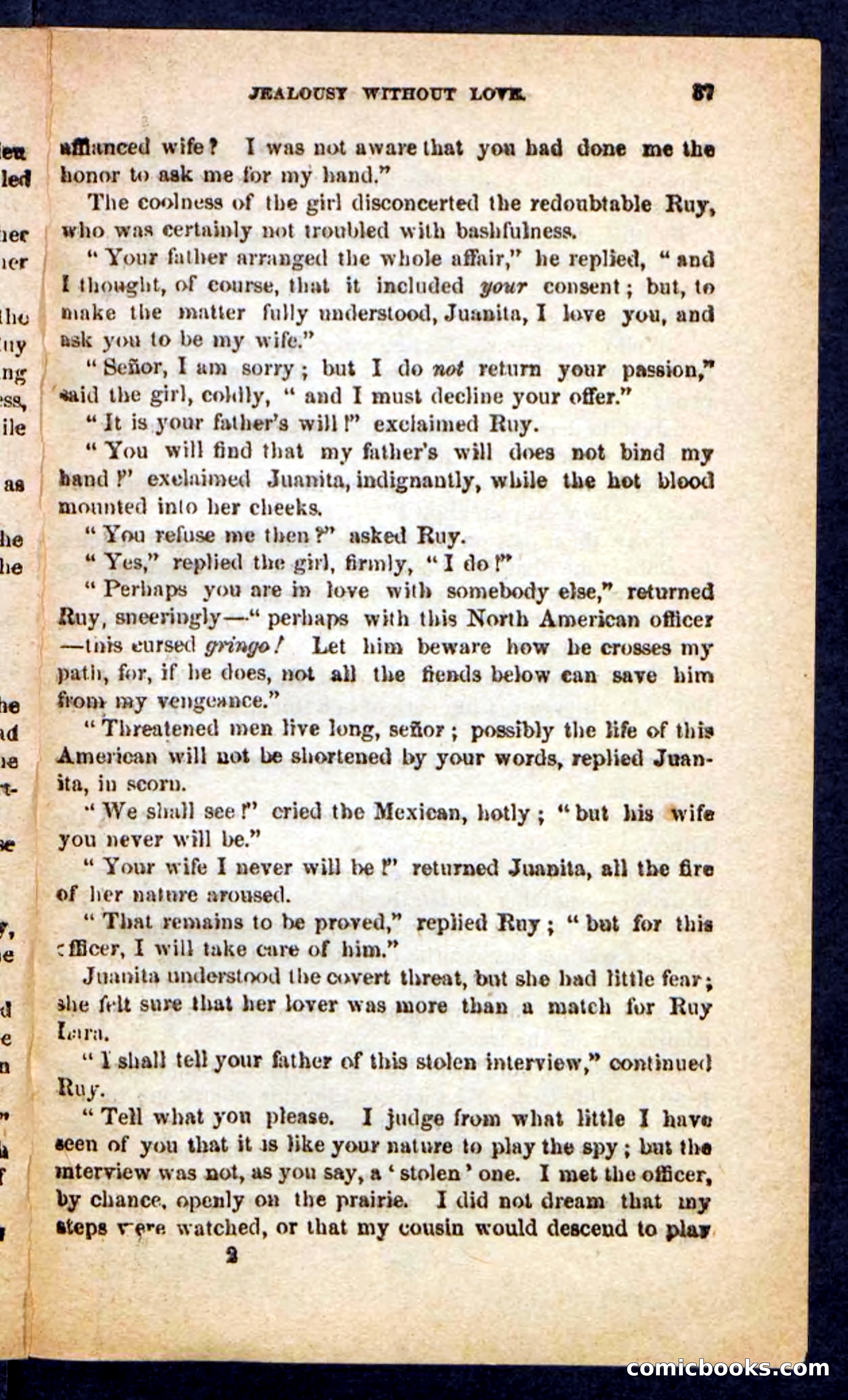 The Brigand Captain — page 33 of 100