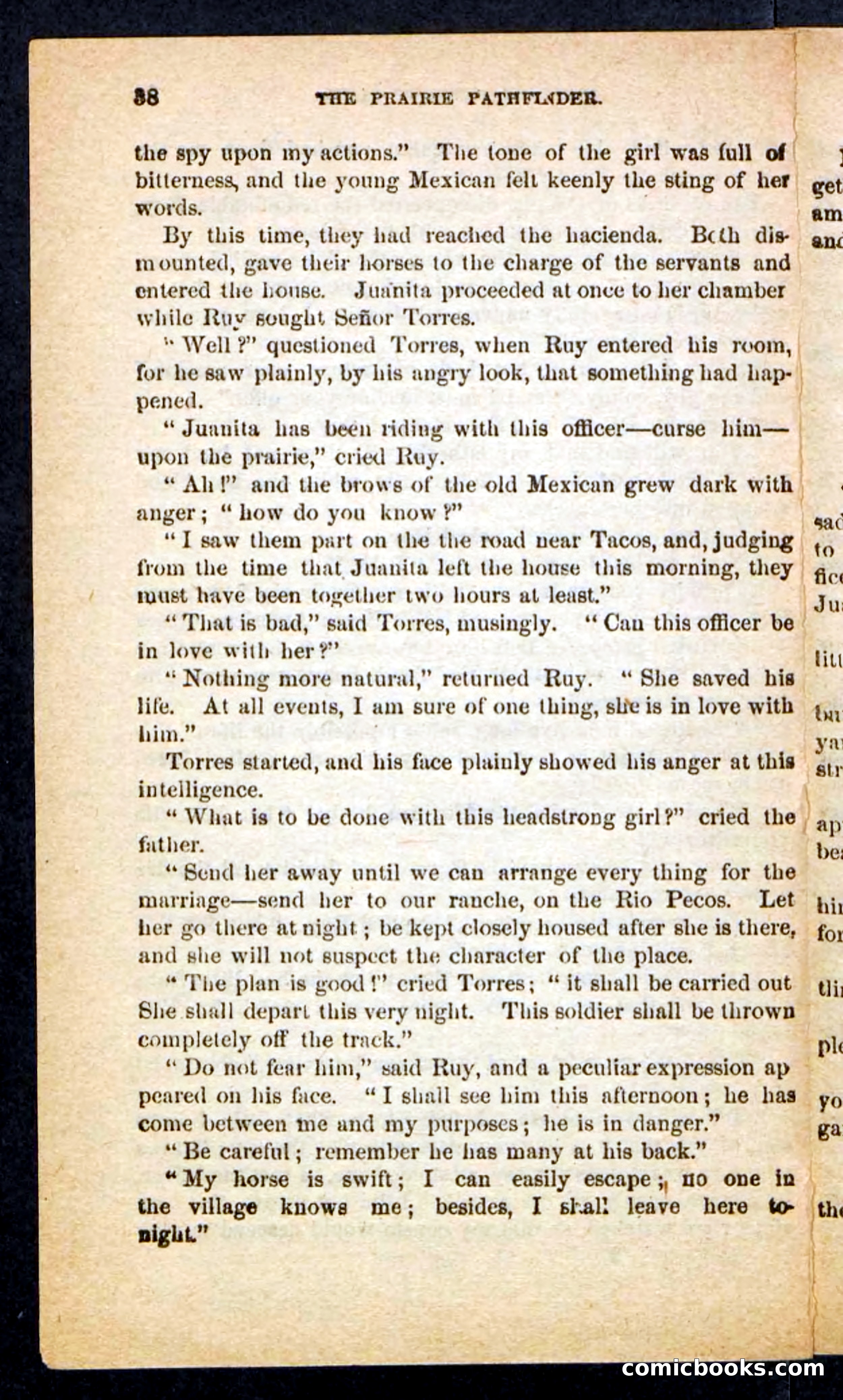 The Brigand Captain — page 34 of 100