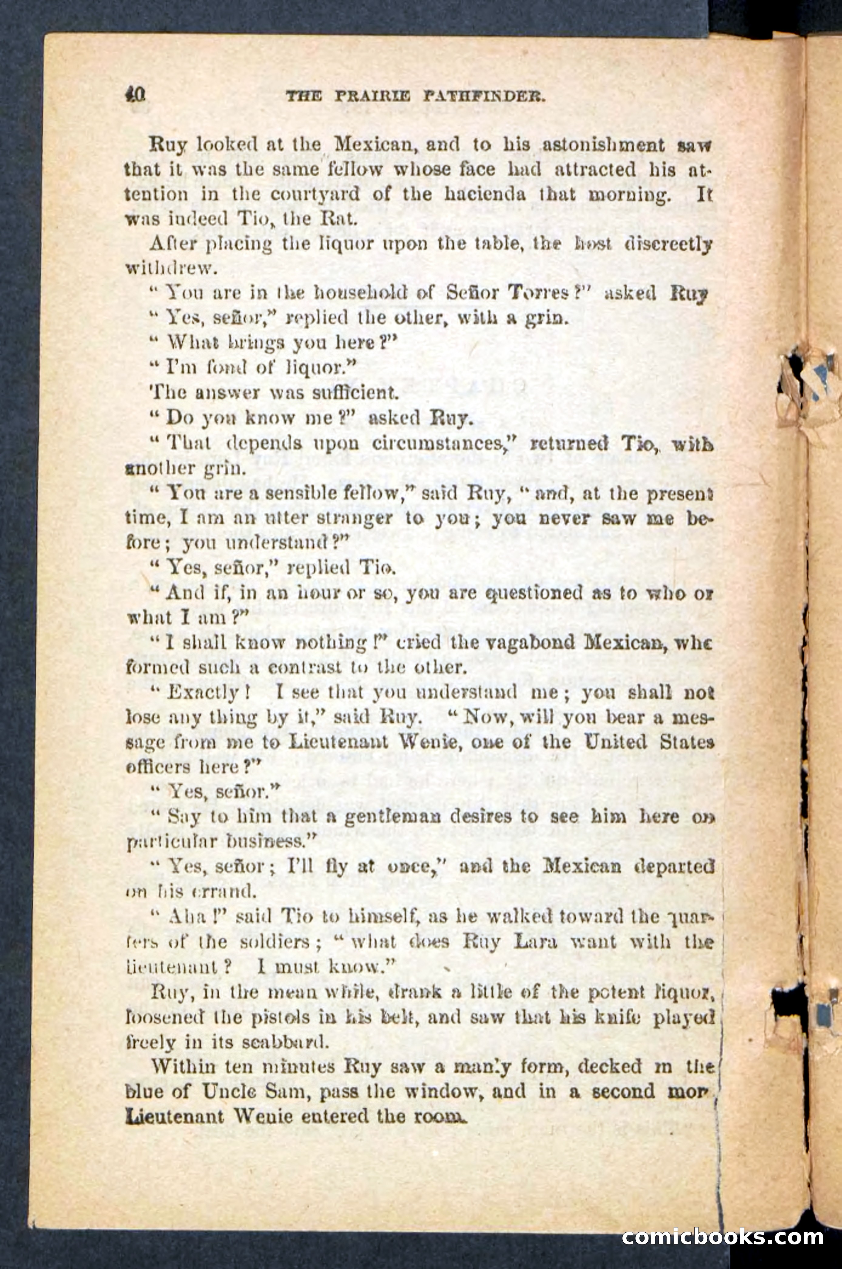 The Brigand Captain — page 36 of 100