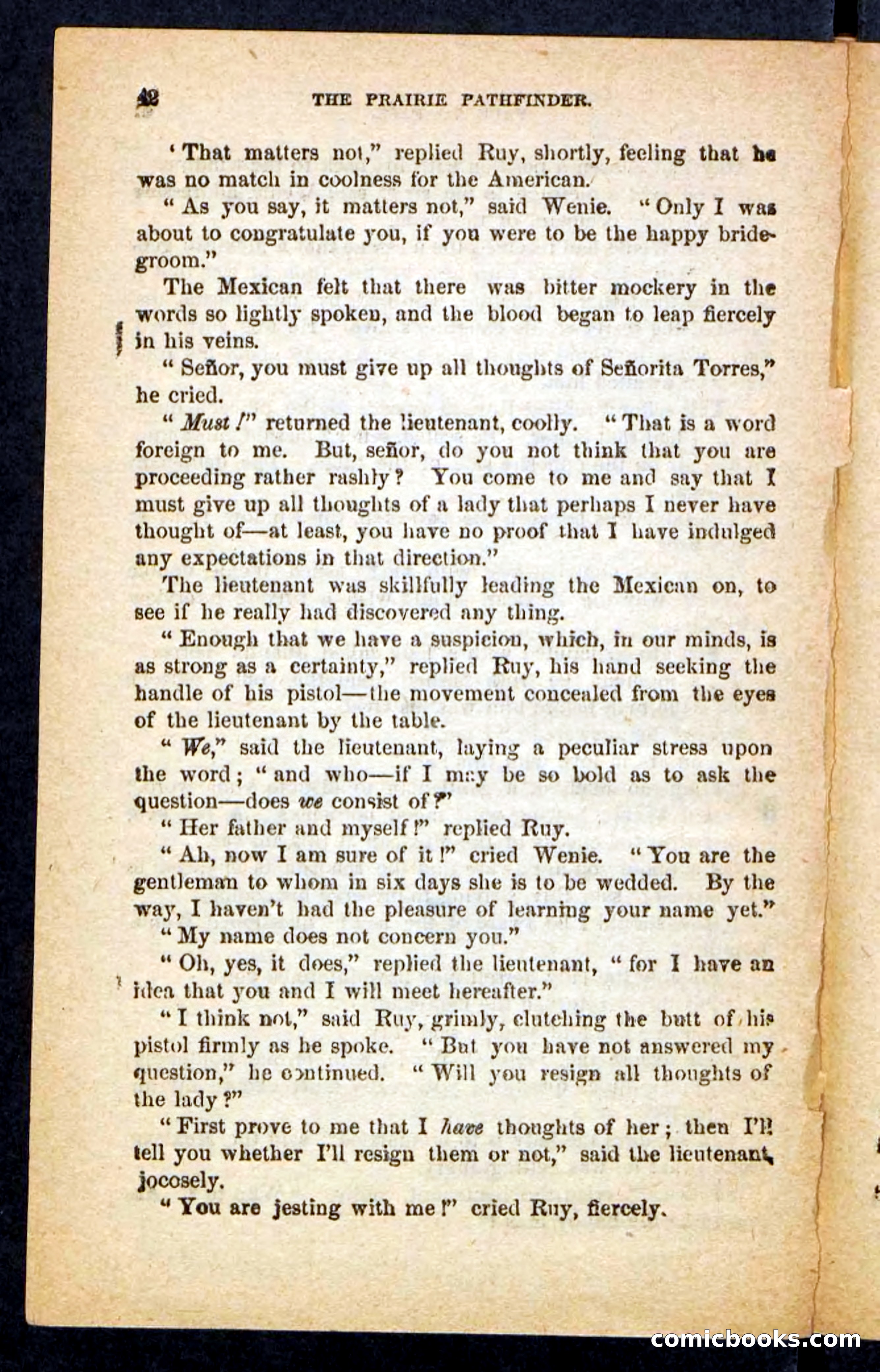 The Brigand Captain — page 38 of 100