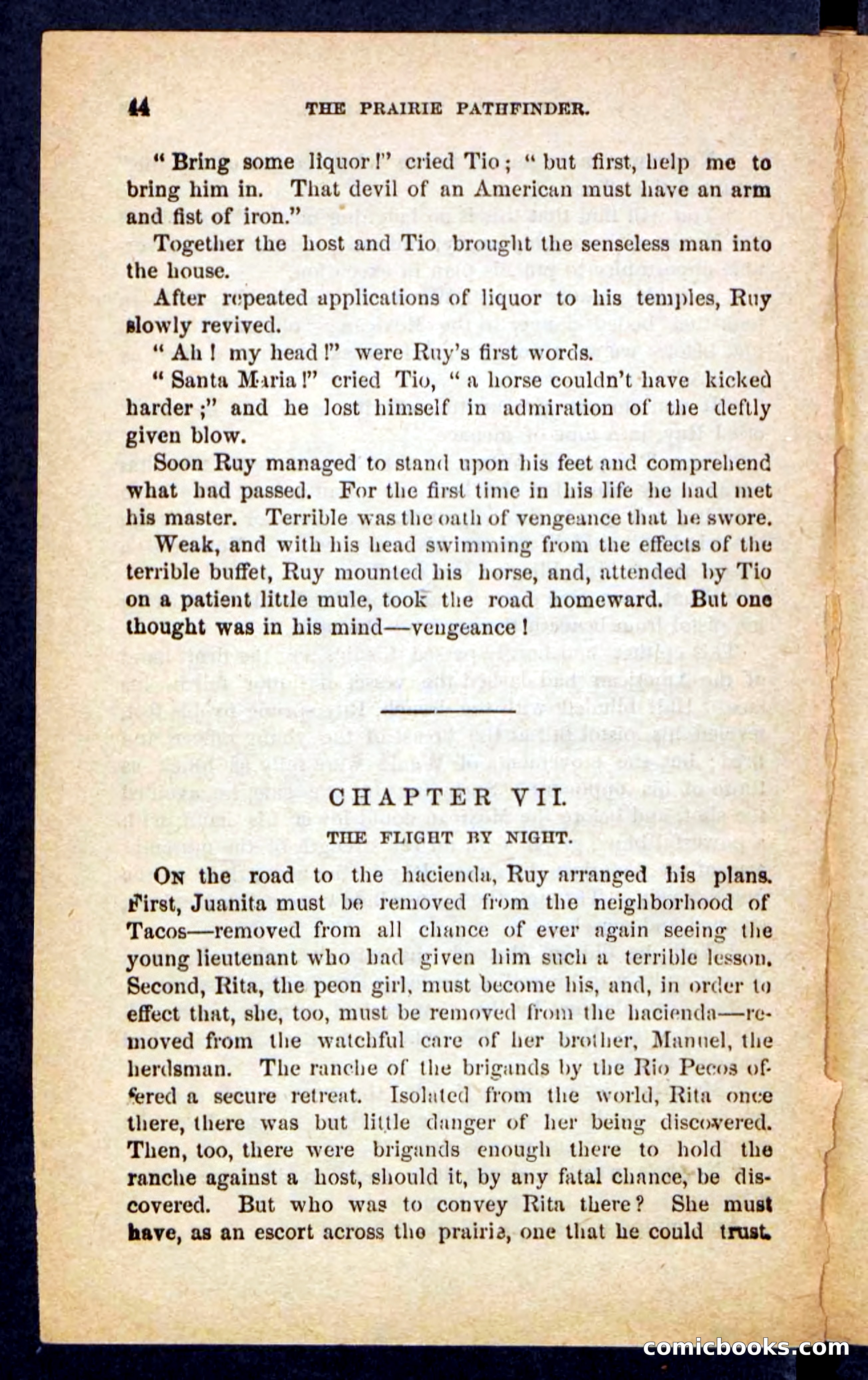 The Brigand Captain — page 40 of 100
